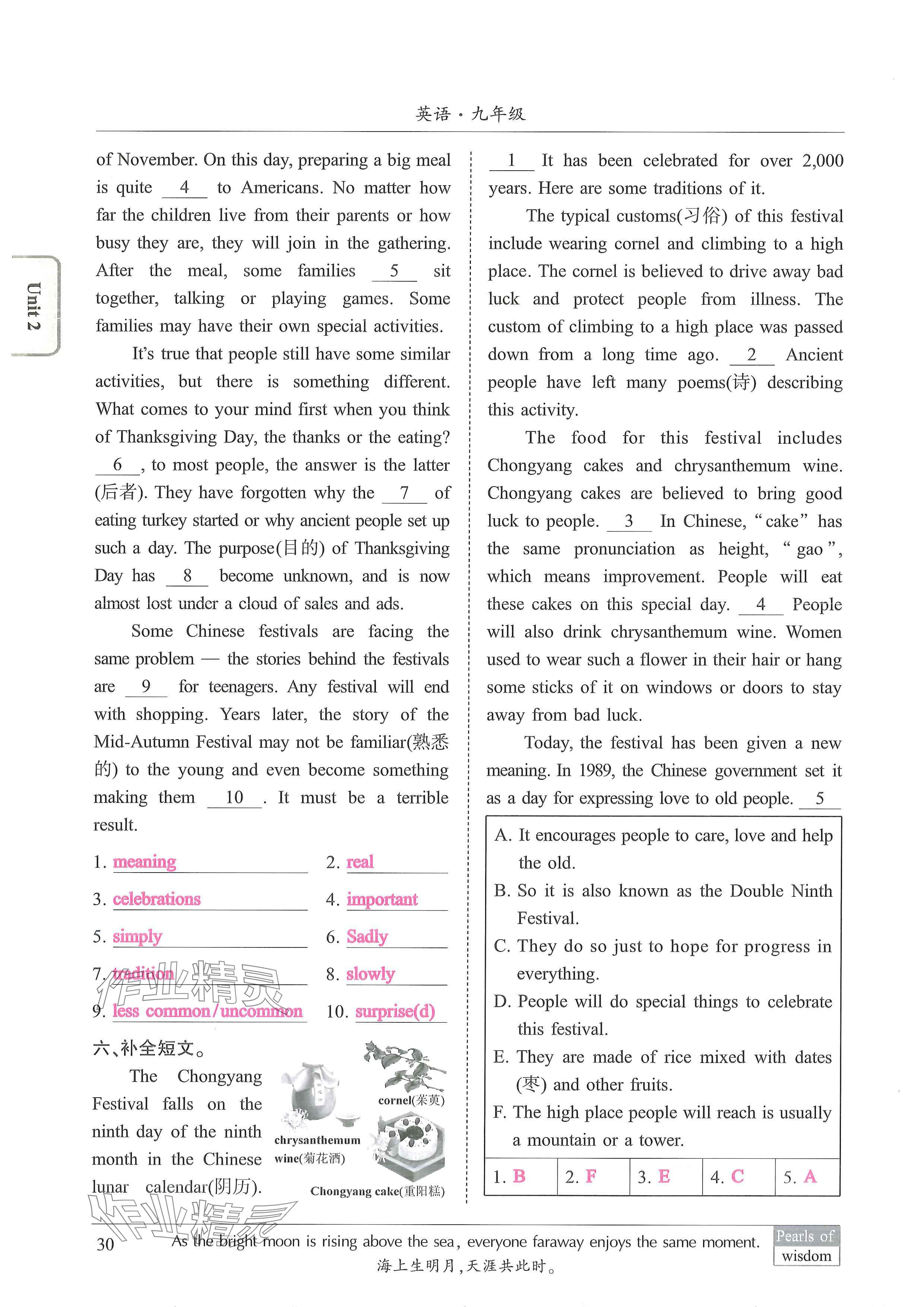 2024年新视界初中英语九年级英语上册人教版 参考答案第30页