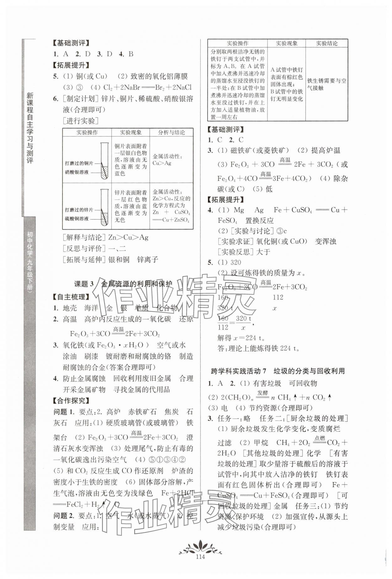 2025年新课程自主学习与测评九年级化学下册人教版 第2页
