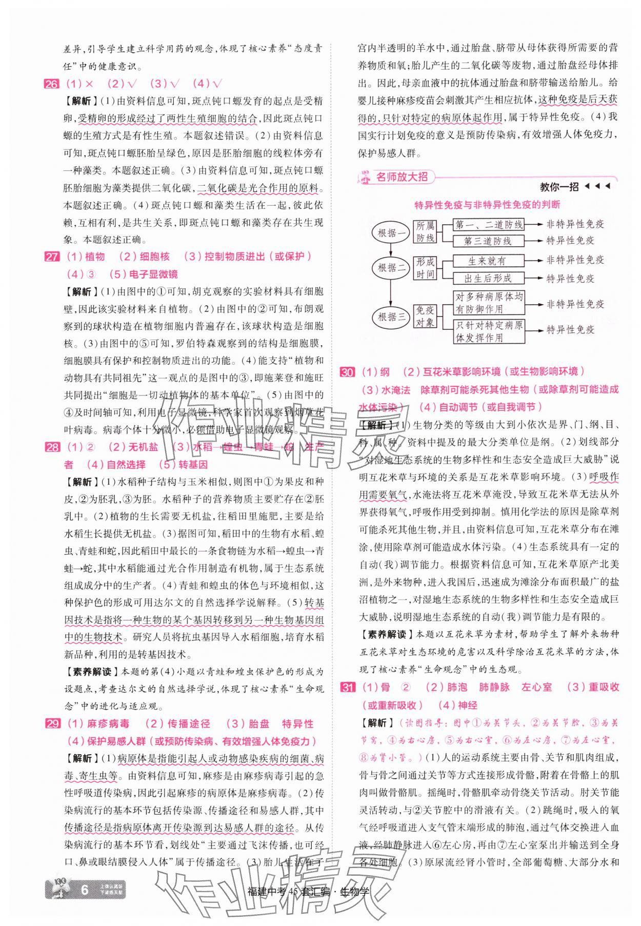 2025年金考卷福建中考45套匯編八年級(jí)生物 參考答案第6頁