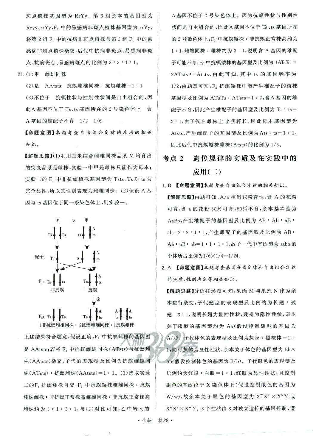 2024年天利38套對(duì)接高考單元專題訓(xùn)練高中生物 第28頁(yè)