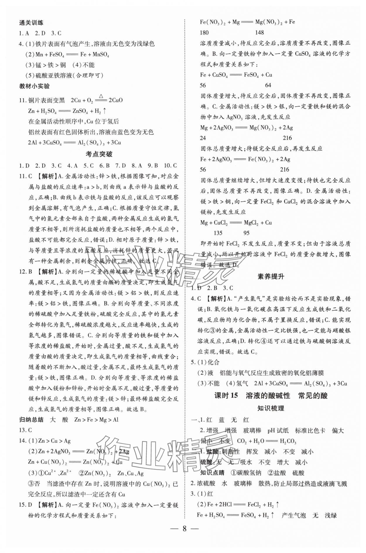 2025年领跑中考化学深圳专版 第8页