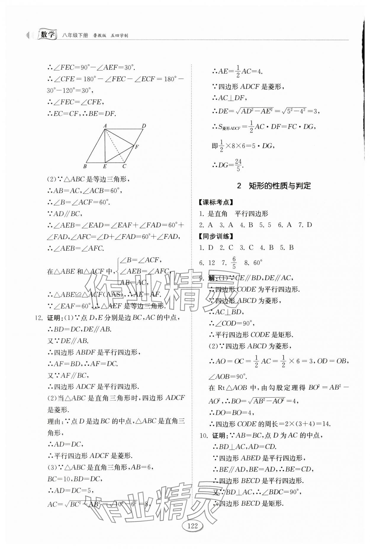 2024年同步練習(xí)冊(cè)山東科學(xué)技術(shù)出版社八年級(jí)數(shù)學(xué)下冊(cè)魯教版54制 第2頁(yè)