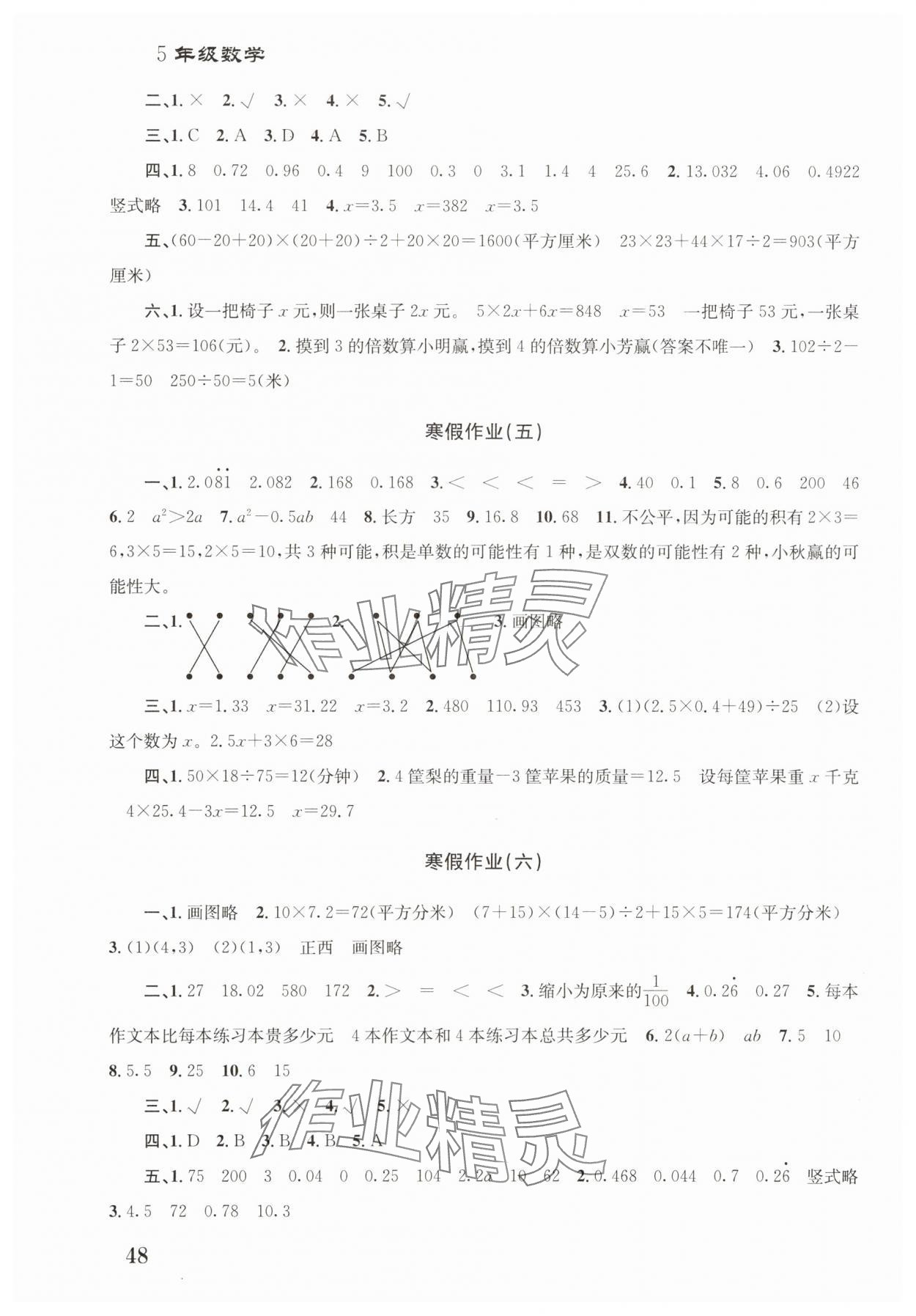 2025年寒假作業培優銜接南京大學出版社五年級數學 第2頁