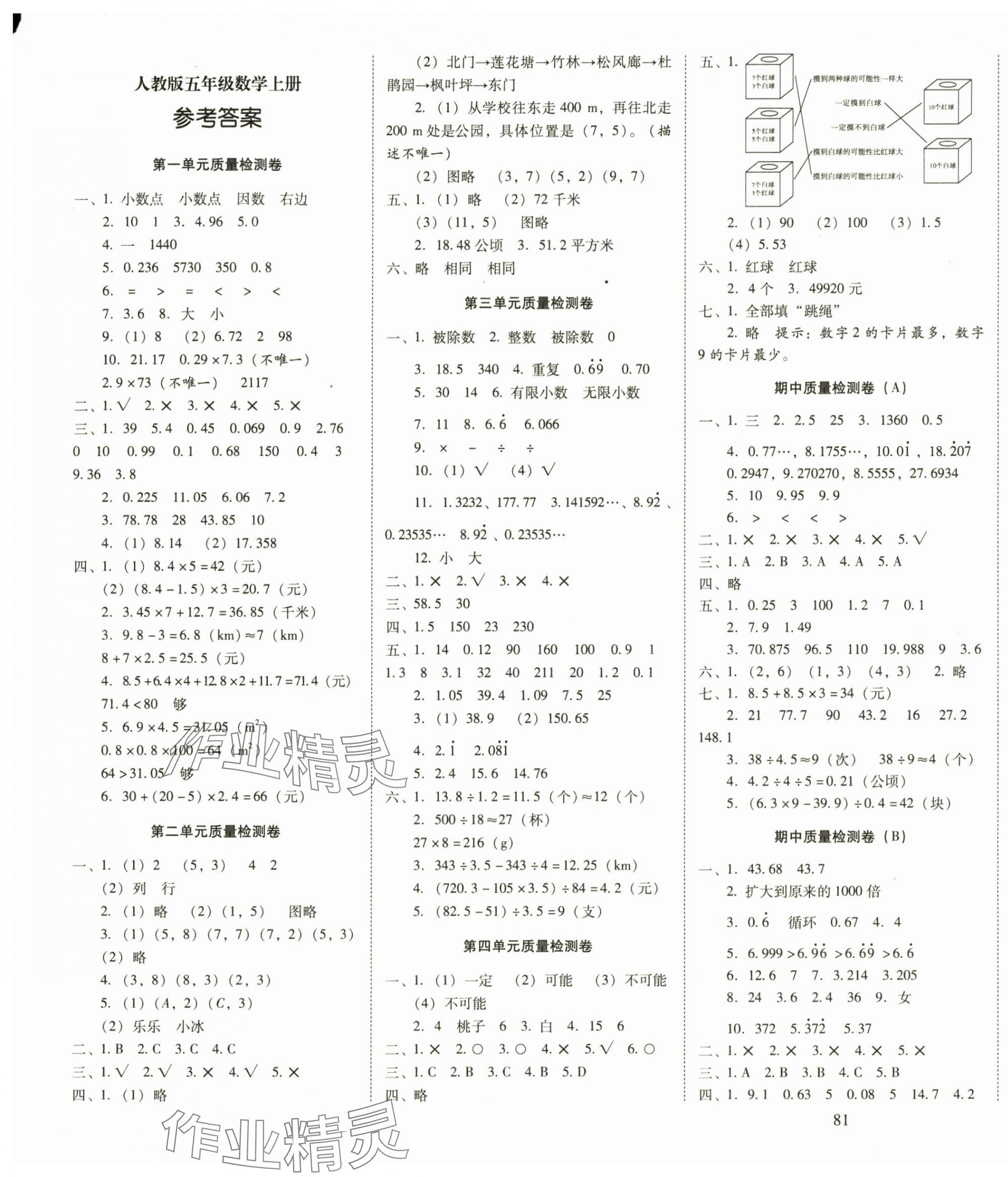 2025年云南师大附小一线名师核心试卷五年级数学上册人教版 第1页