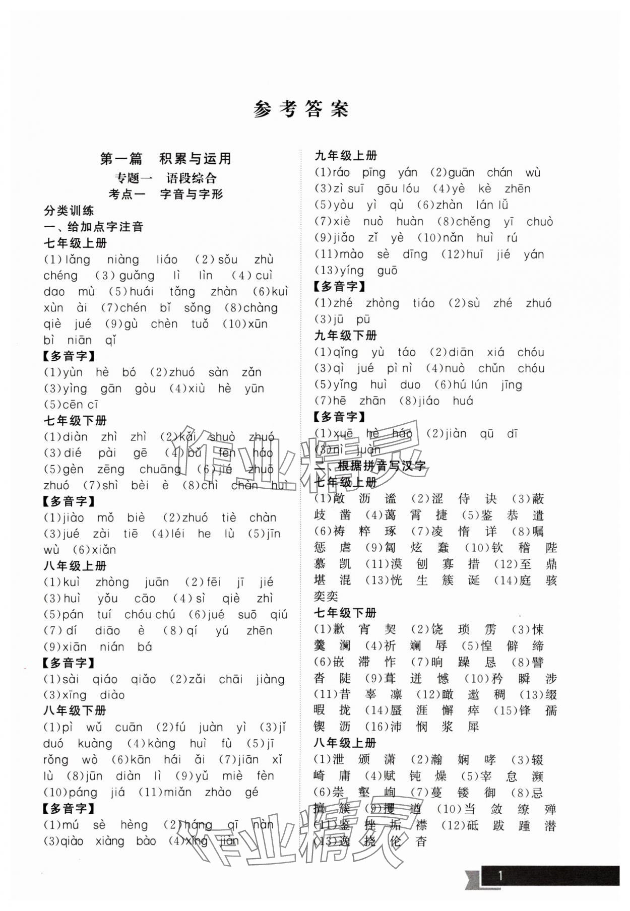 2025年中考提優計劃總復習語文 第1頁