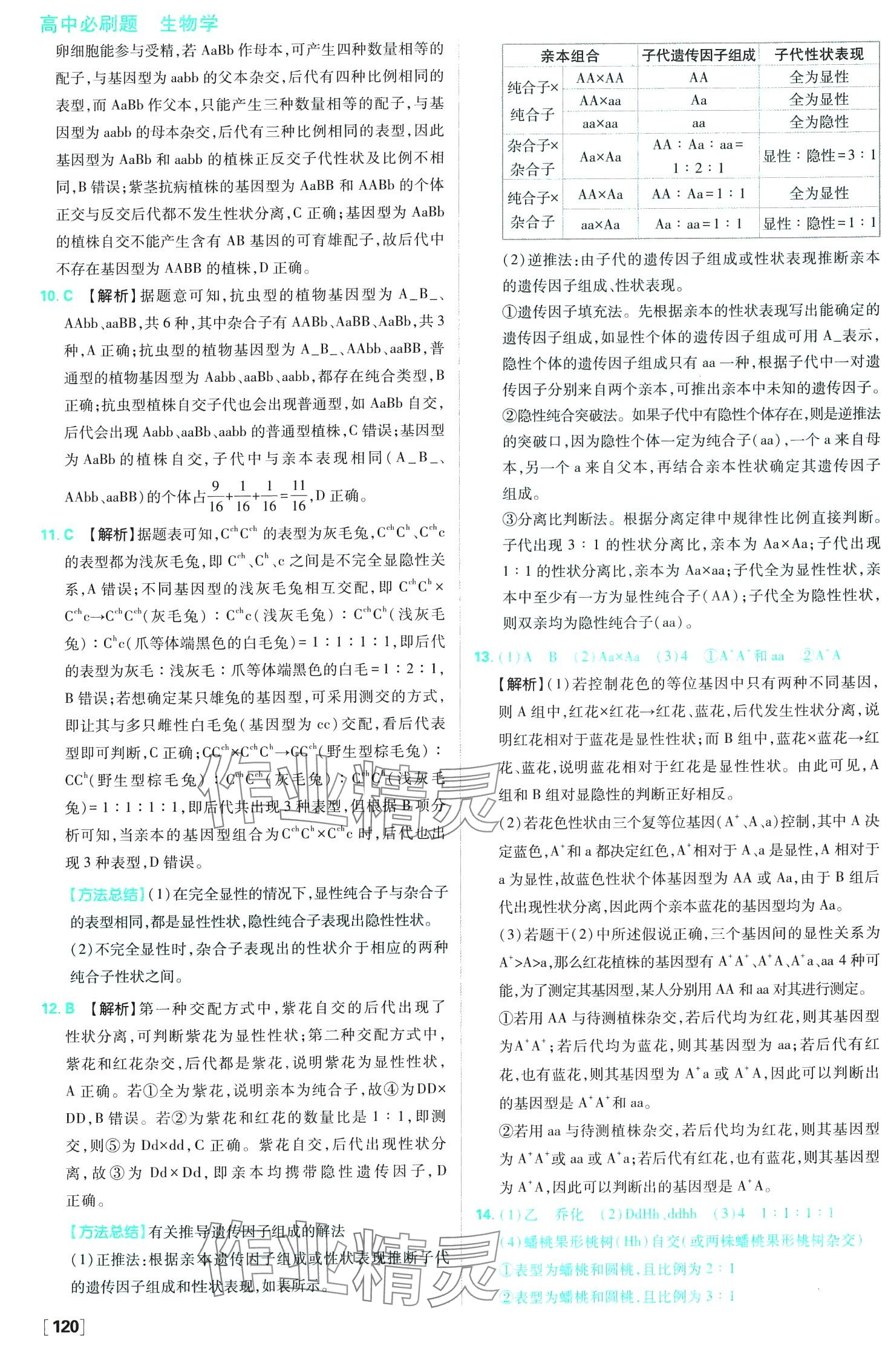 2024年高中必刷題高中生物必修2人教版 第15頁