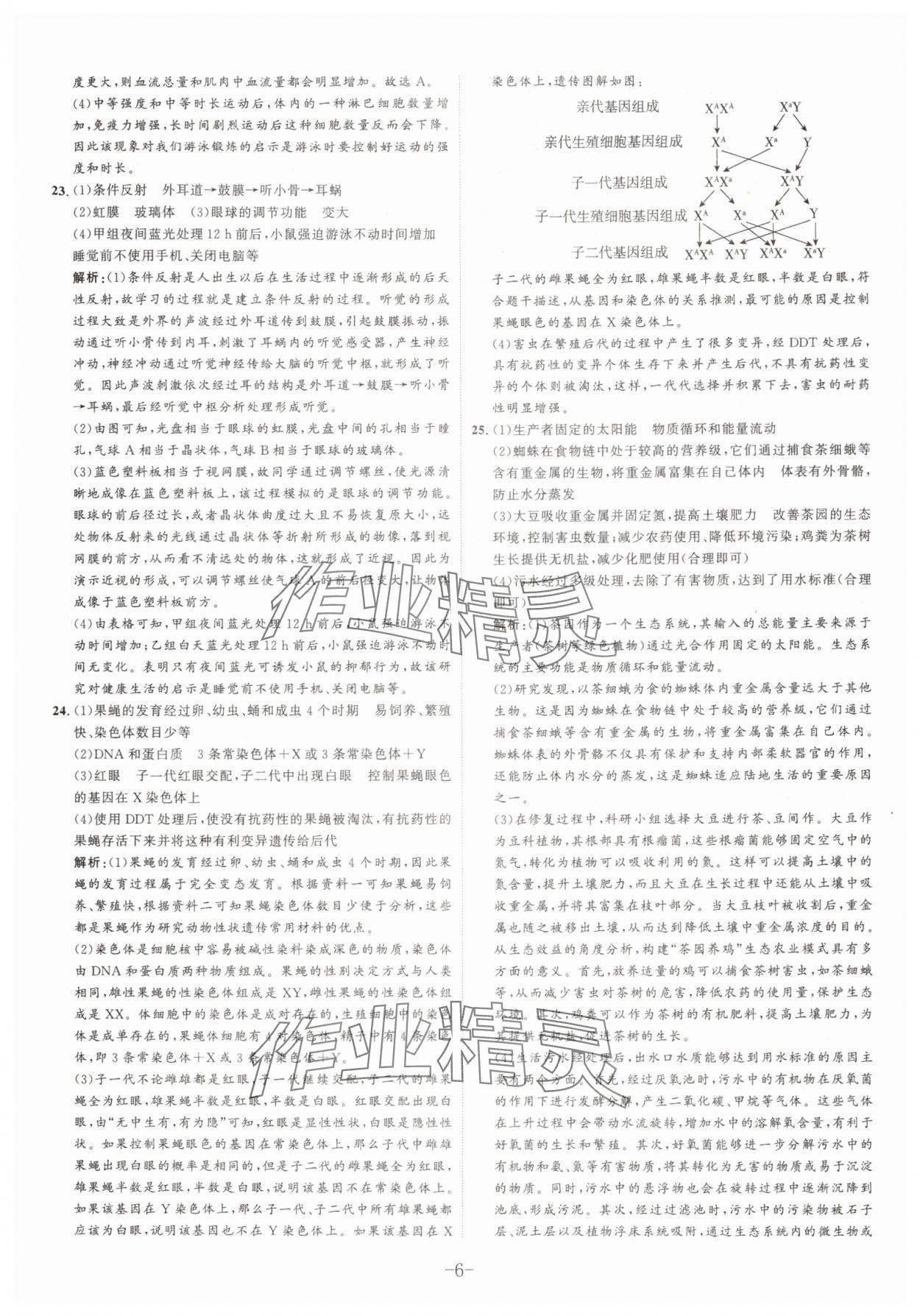 2025年中考試題匯編與解析生物山東專版 參考答案第6頁