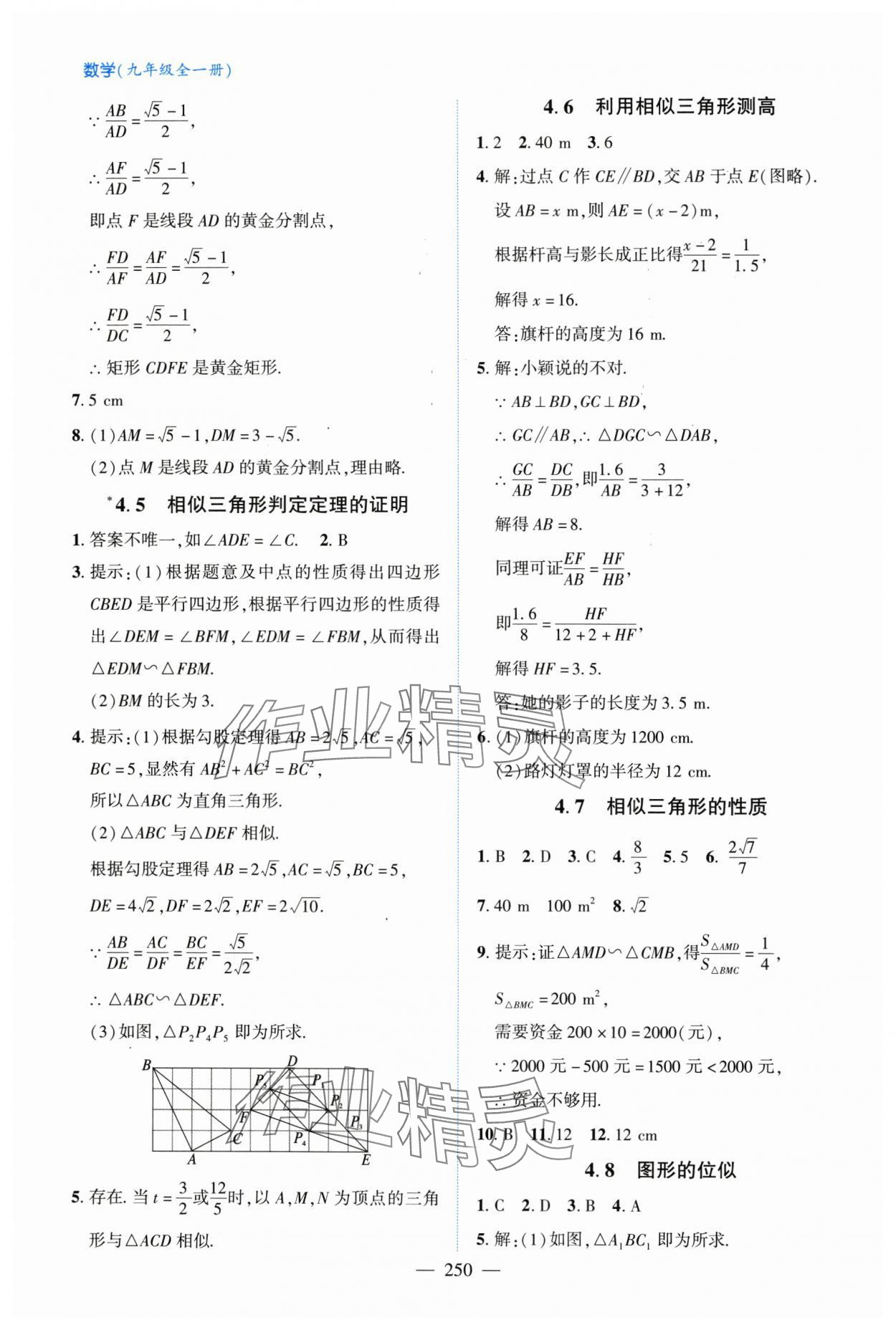 2025年新课堂学习与探究九年级数学全一册北师大版&nbsp;第18页