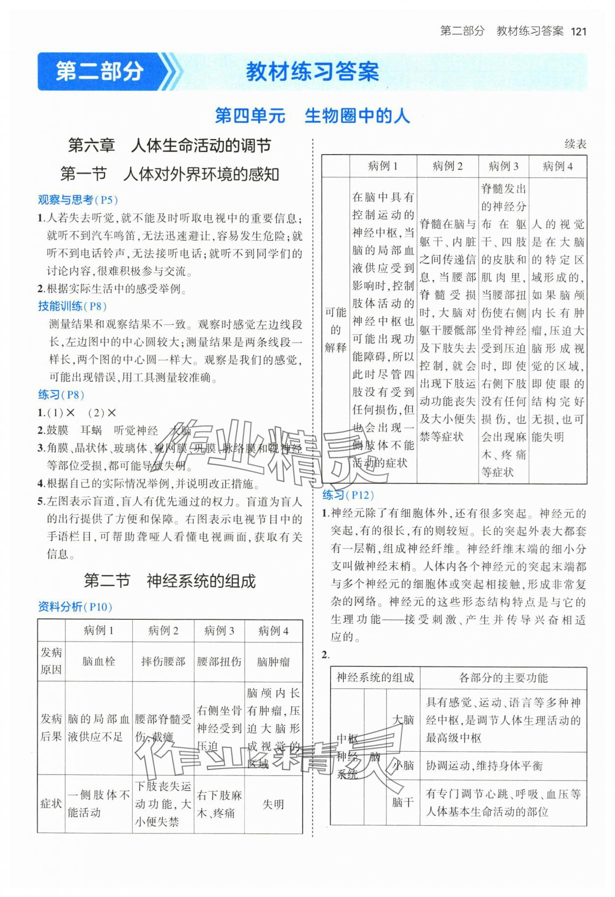 2025年教材課本七年級生物下冊魯科版五四制 參考答案第1頁