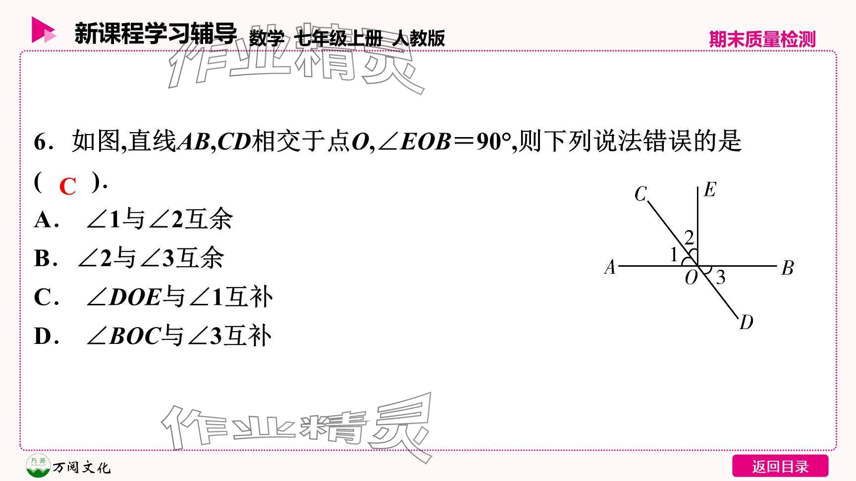 2024年新课程学习辅导七年级数学上册人教版 参考答案第7页