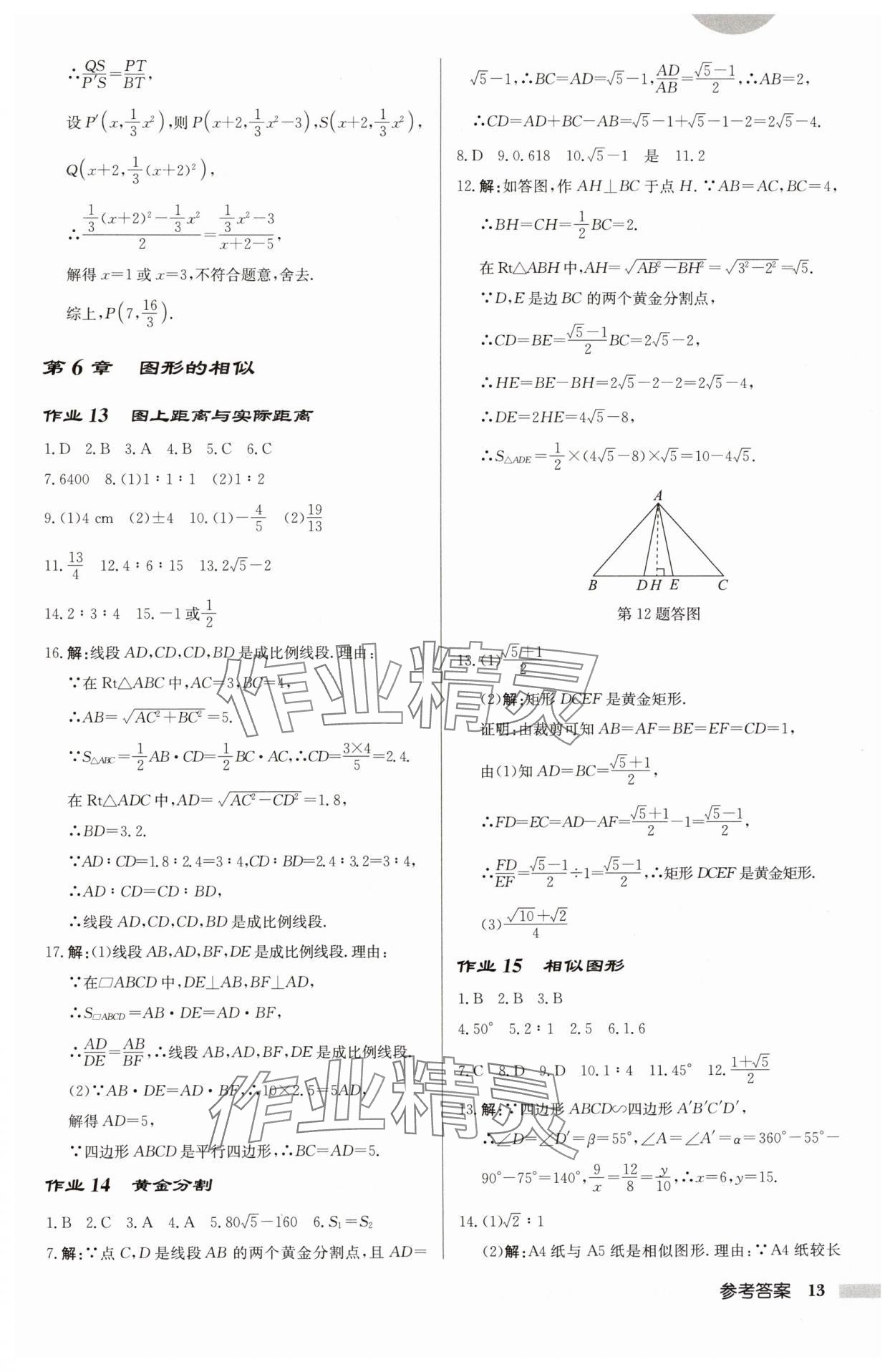 2025年啟東中學(xué)作業(yè)本九年級數(shù)學(xué)下冊蘇科版徐州專版 第13頁