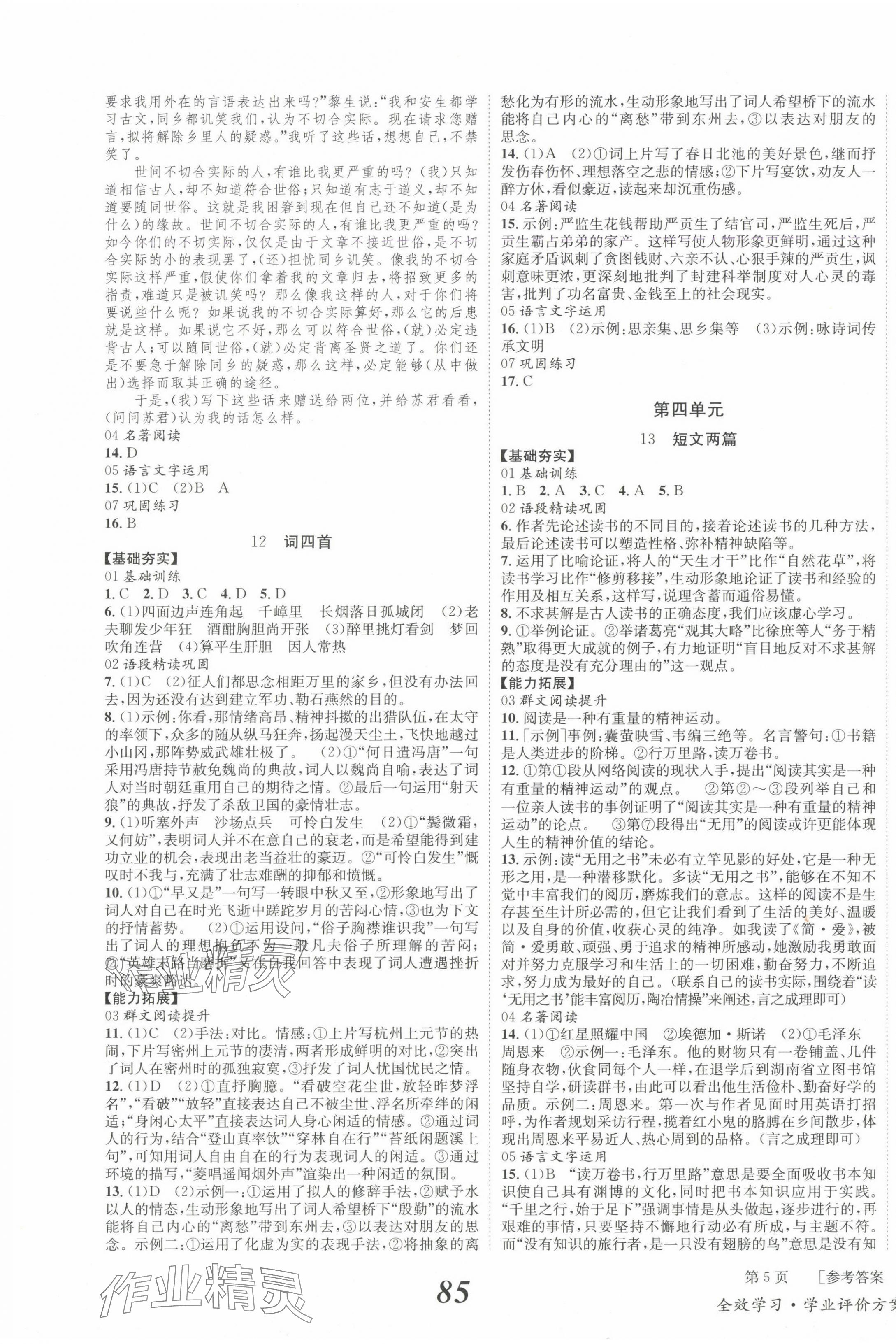 2025年全效學(xué)習(xí)學(xué)業(yè)評價方案九年級語文下冊人教版 第5頁