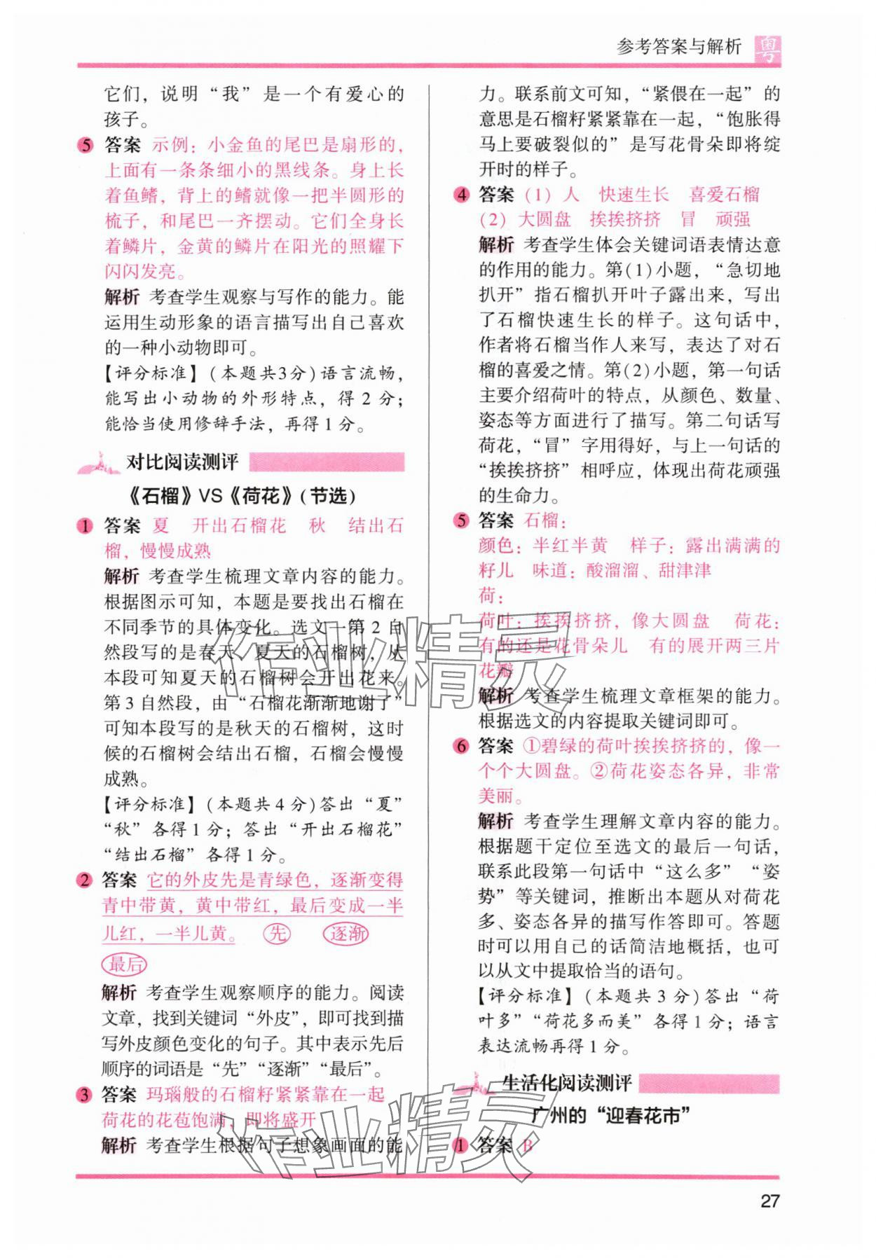 2024年木頭馬閱讀力測評三年級語文下冊人教版B版廣東專版 參考答案第3頁