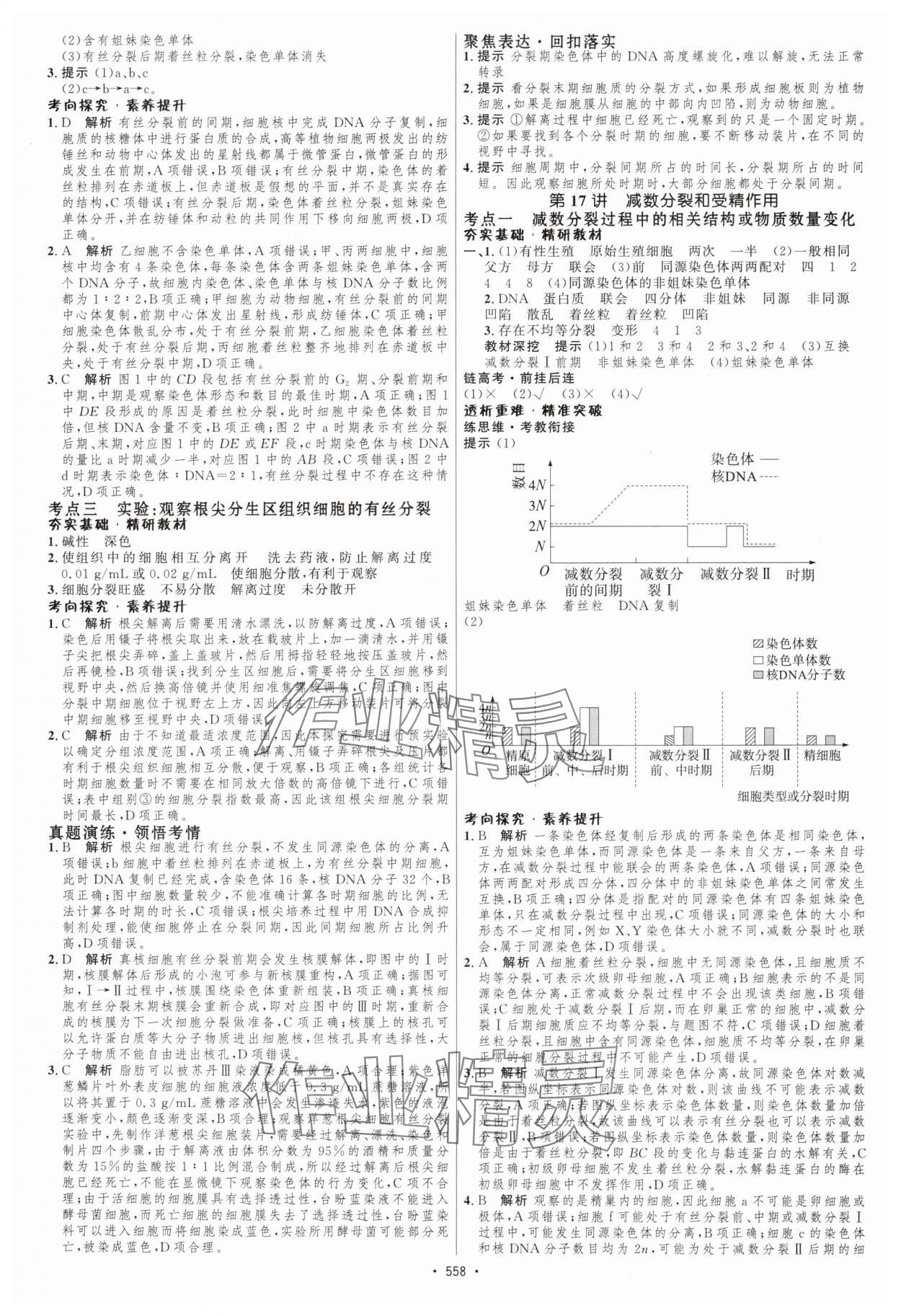 2025年高考總復(fù)習(xí)優(yōu)化設(shè)計高中生物人教版 第16頁