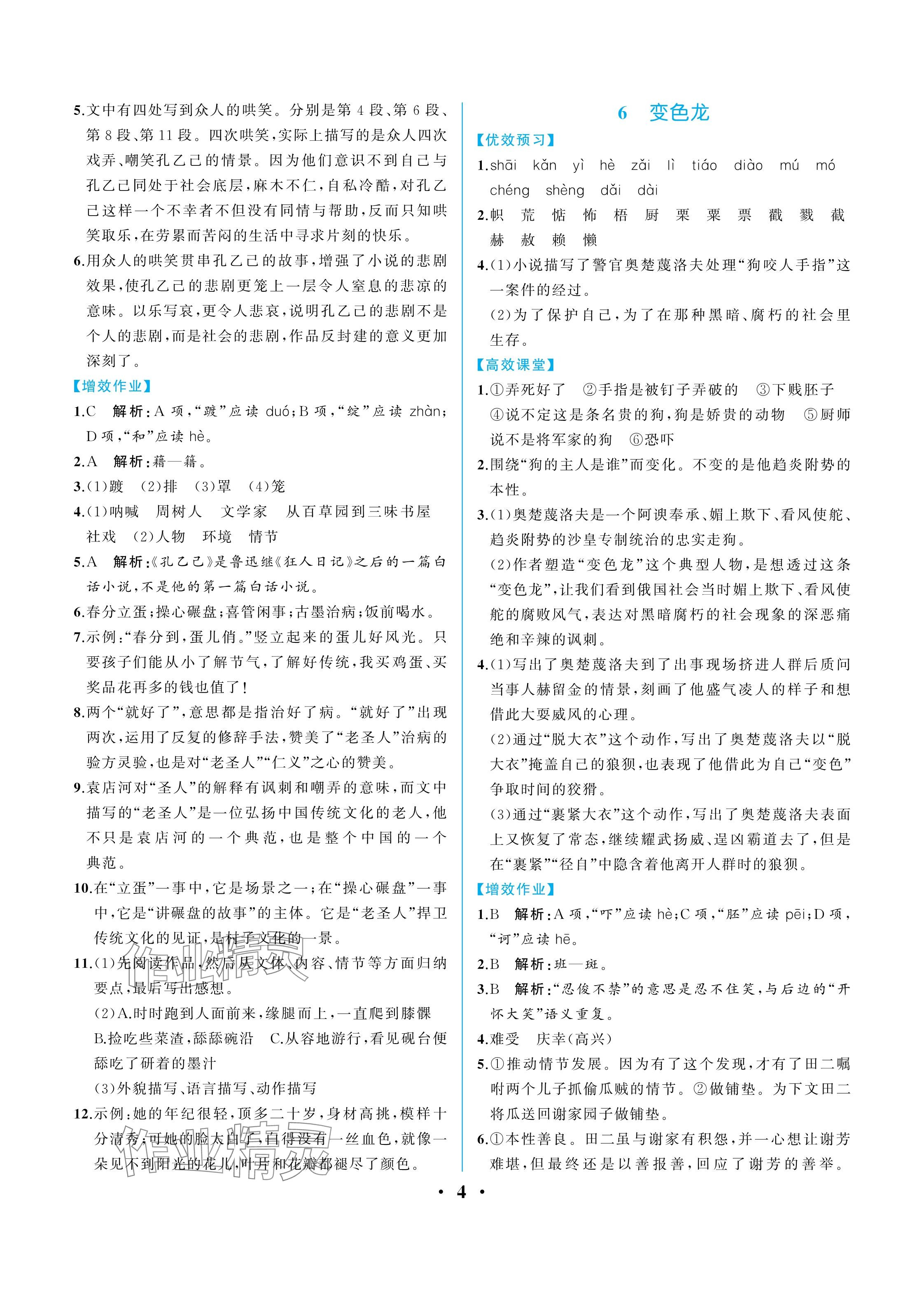 2025年人教金學典同步解析與測評九年級語文下冊人教版重慶專版&nbsp;參考答案第4頁