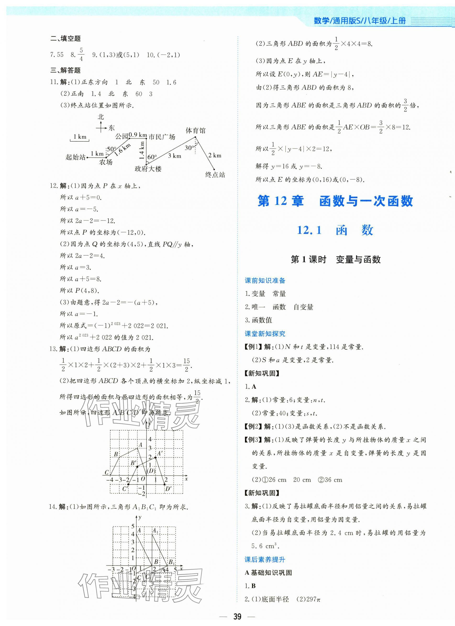 2025年新编基础训练八年级数学上册通用版S 第7页