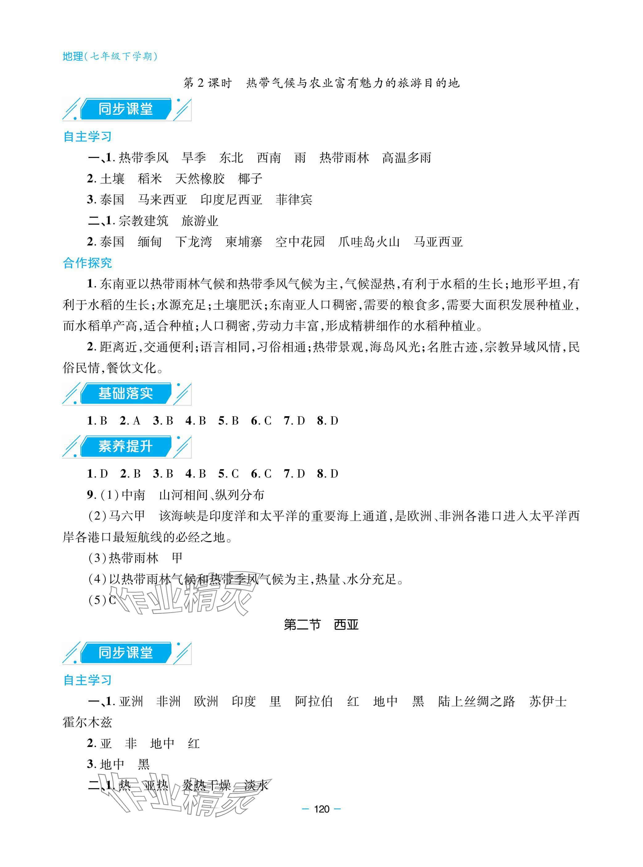 2025年新课堂同步学习与探究七年级地理下册人教版金乡 参考答案第5页