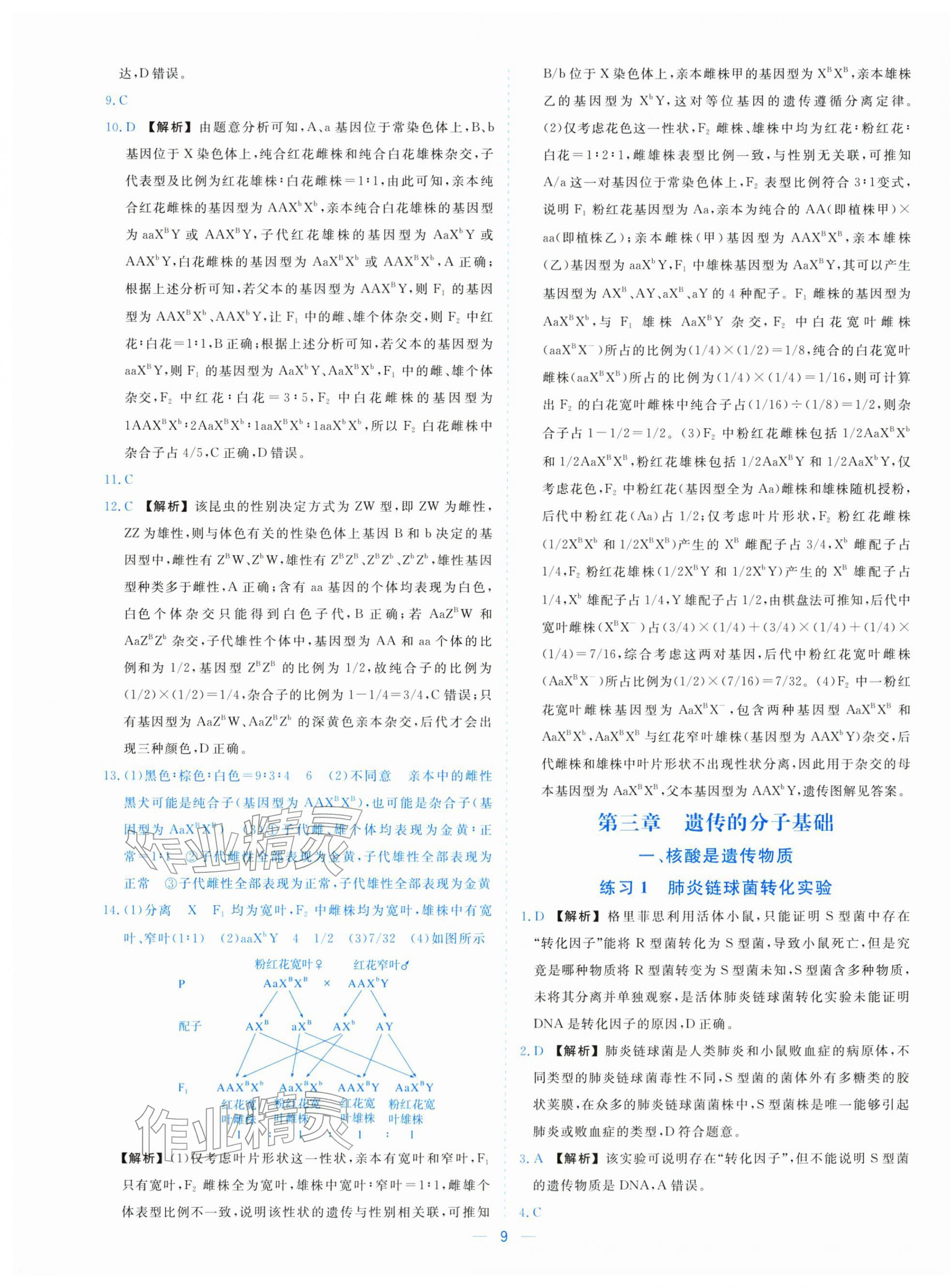 2025年全校核心素養測評高中生物必修第二冊浙科版&nbsp;參考答案第9頁