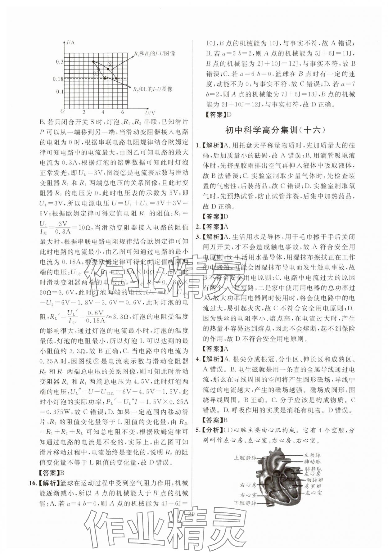 2025年初中科学高分集训浙教版浙江专版&nbsp;参考答案第29页