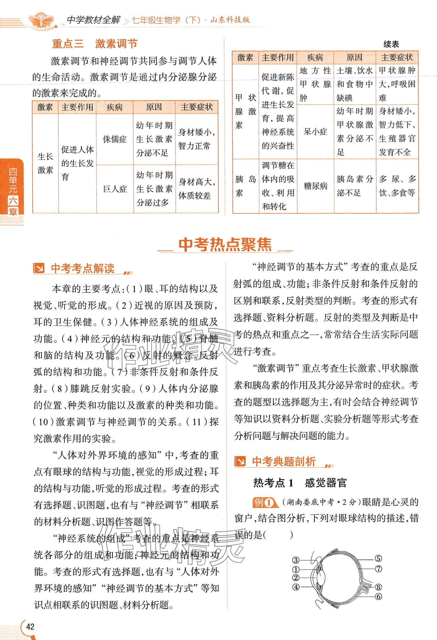 2024年教材课本七年级生物下册鲁科版&nbsp;第42页
