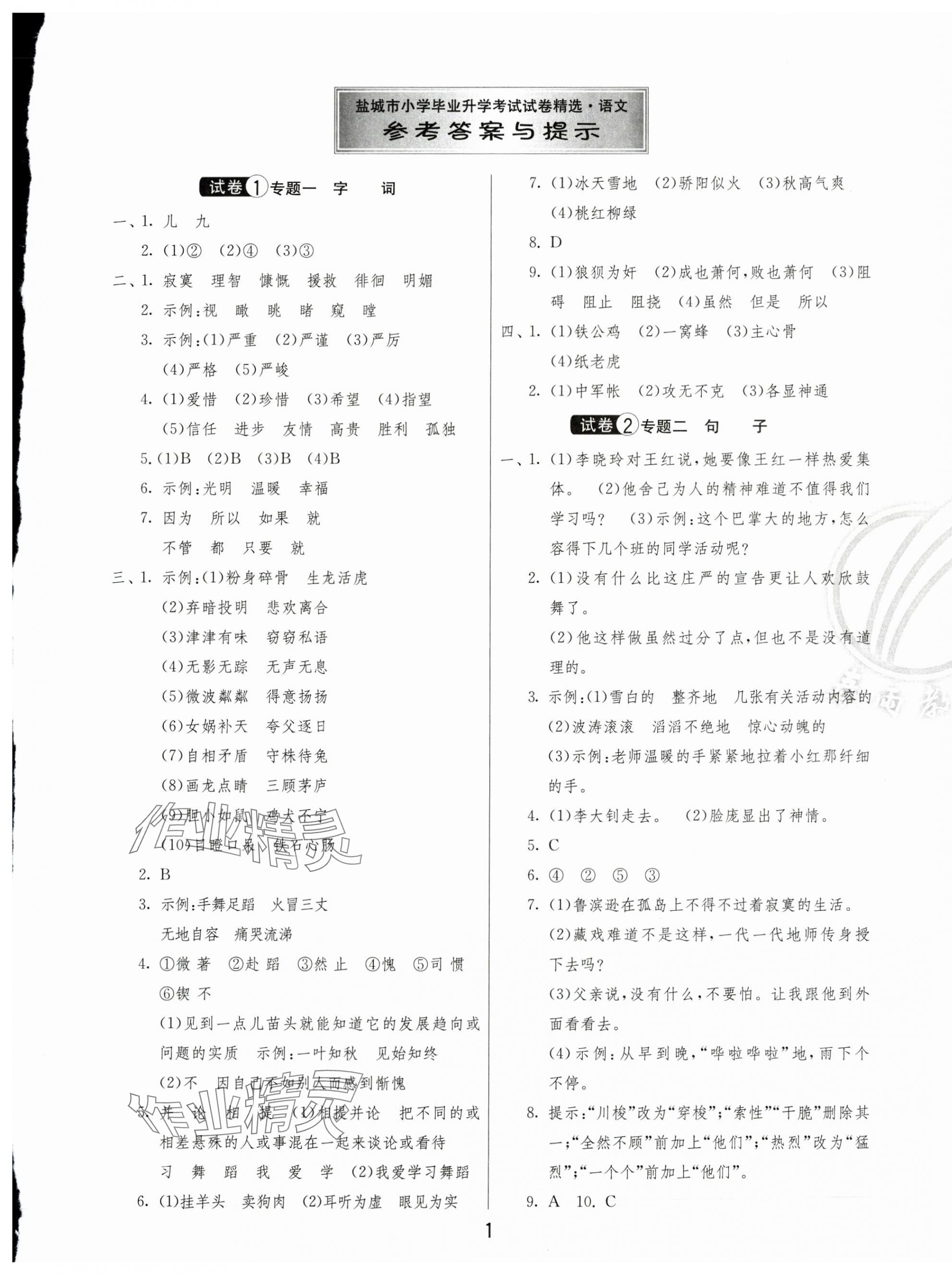 2025年鹽城市小學(xué)畢業(yè)升學(xué)考試試卷精選語(yǔ)文 第1頁(yè)