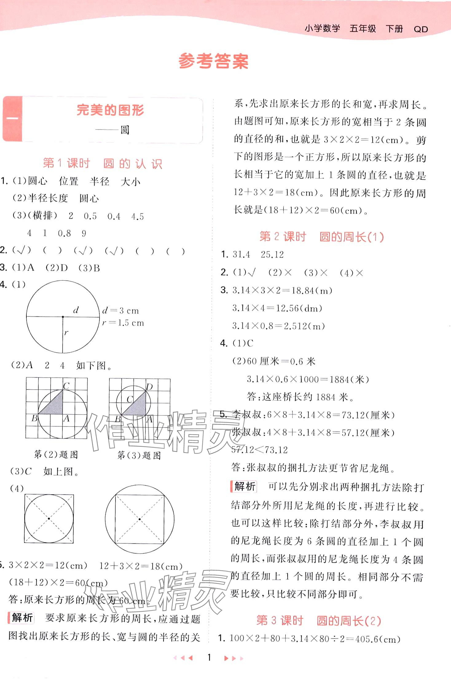 2024年53天天练五年级数学下册青岛版五四制 第1页