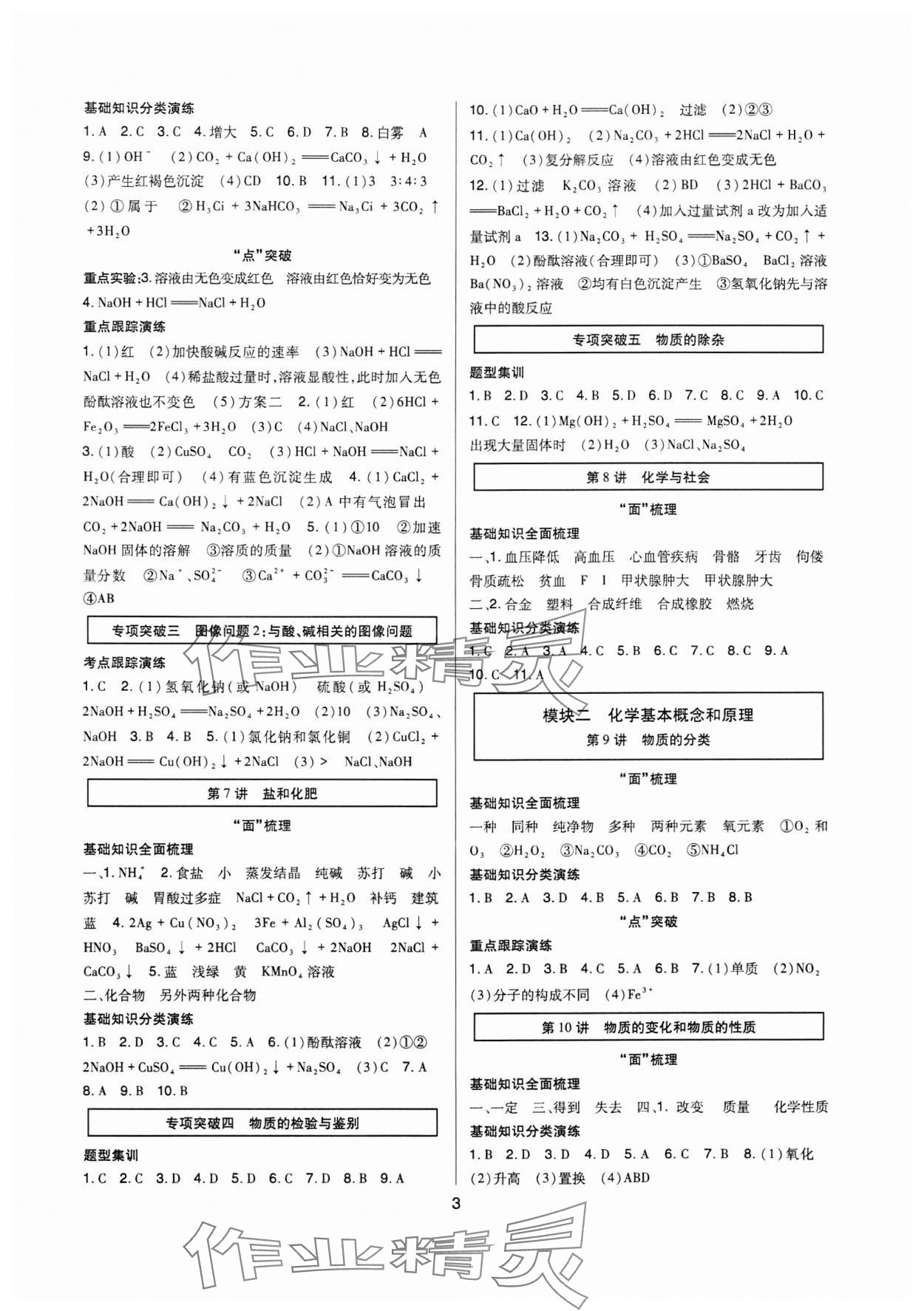 2025年高分突破中考总复习方案化学重庆专版 第3页