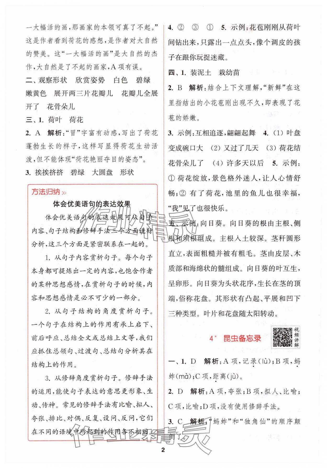 2024年拔尖特訓(xùn)三年級(jí)語(yǔ)文下冊(cè)人教版 參考答案第2頁(yè)