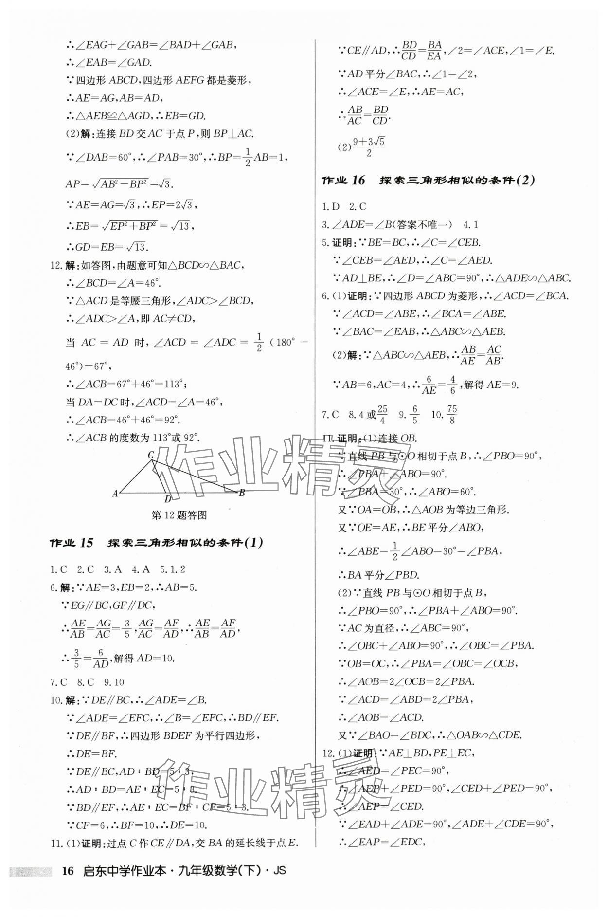 2024年啟東中學(xué)作業(yè)本九年級(jí)數(shù)學(xué)下冊蘇科版 第16頁