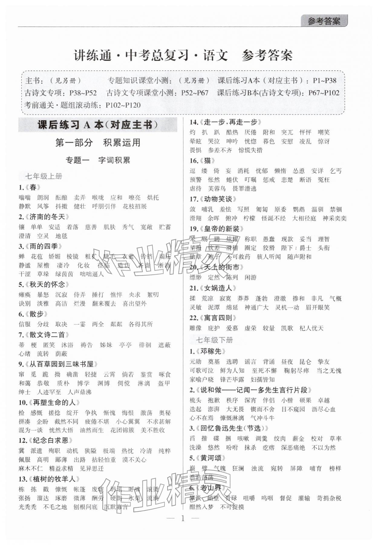 2026年廣東名師講練通中考總復(fù)習(xí)語文深圳專版&nbsp;第1頁