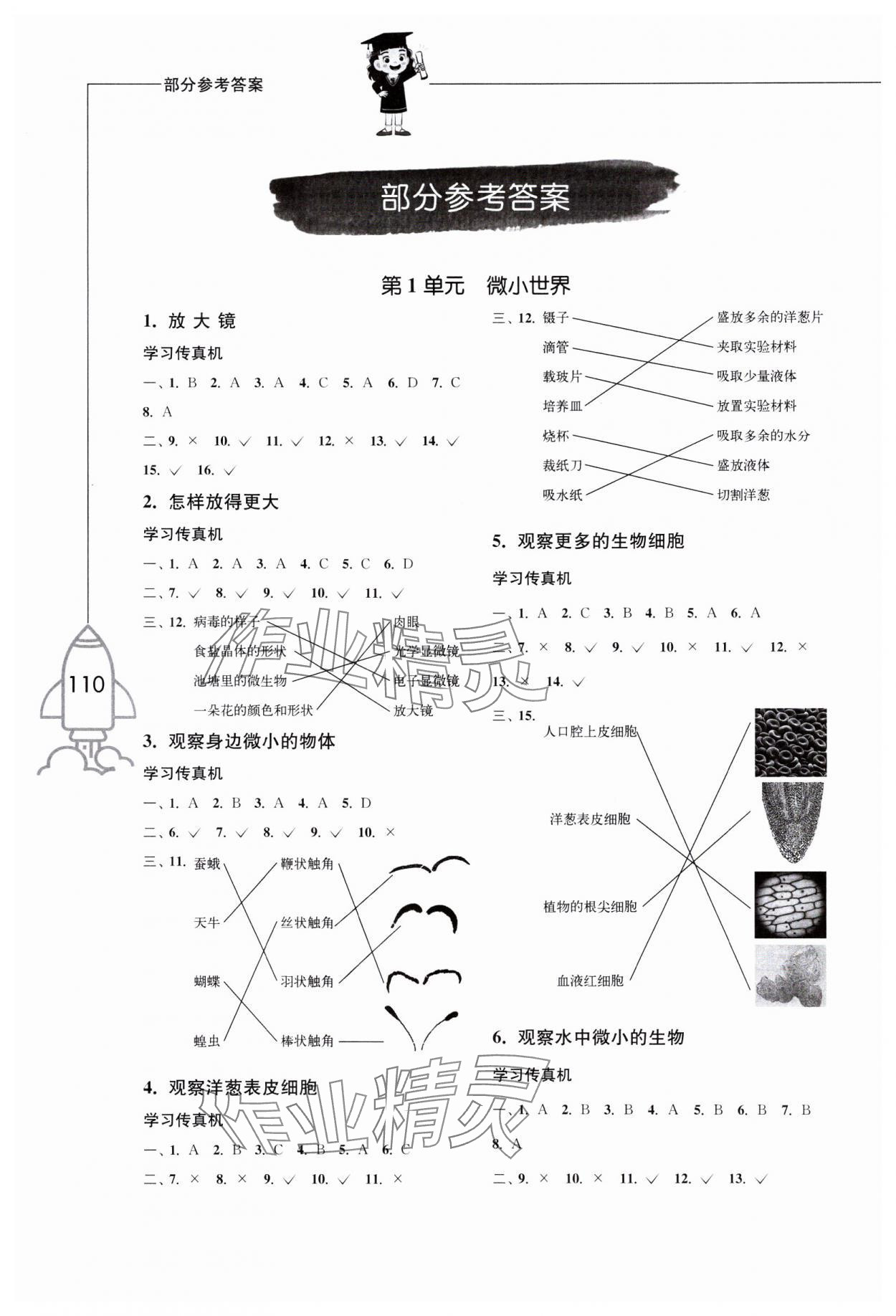 2023年小學(xué)科學(xué)習(xí)作六年級上冊教科版增強版 參考答案第1頁