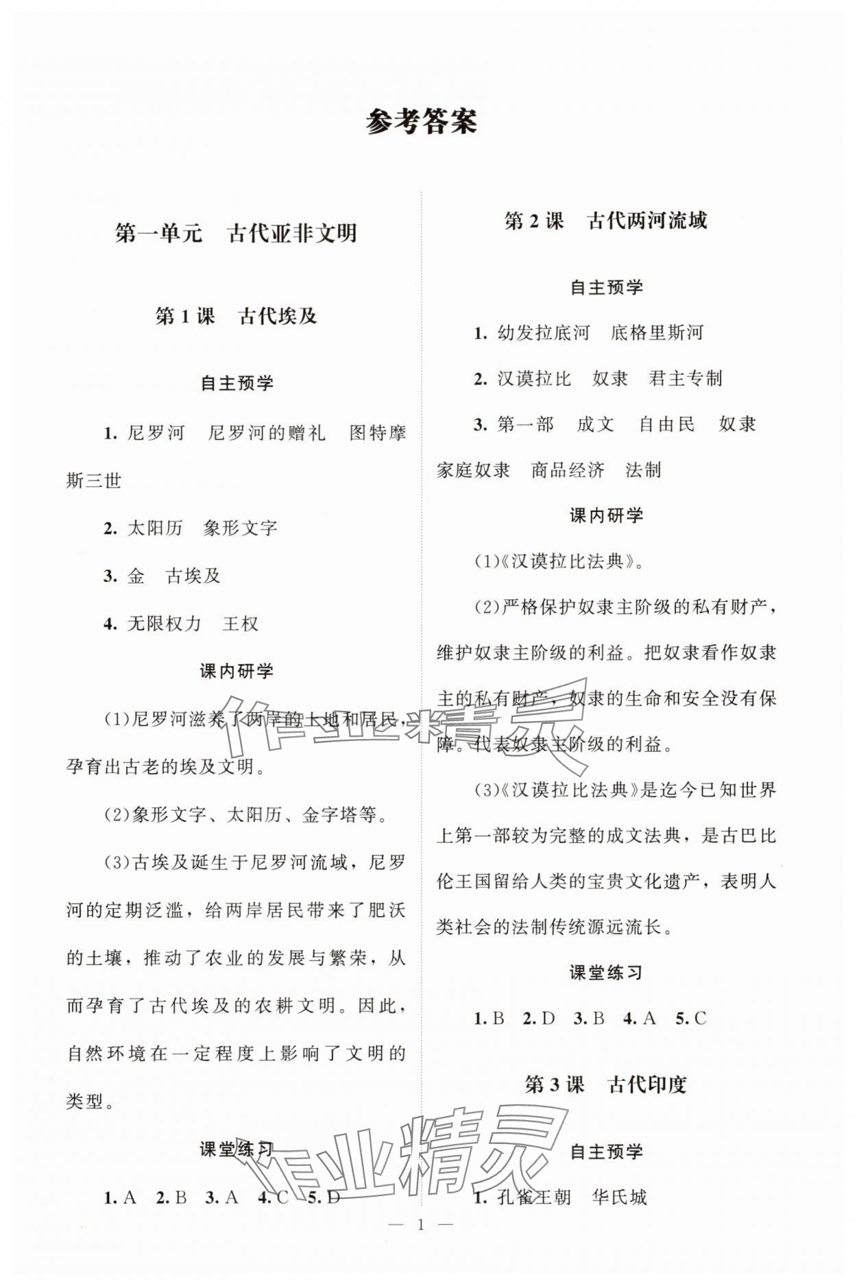 2025年课堂精练九年级历史上册人教版江苏专版 第1页