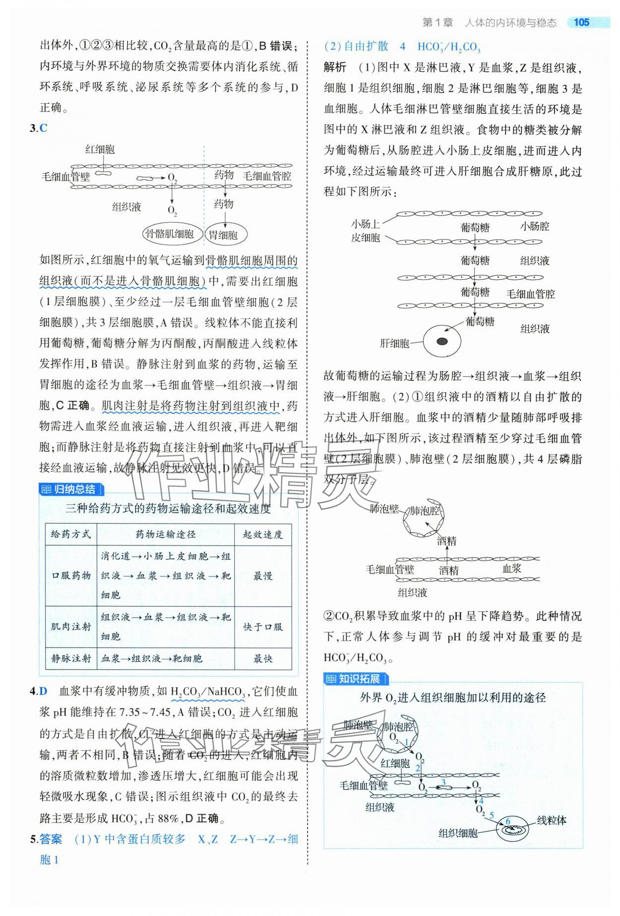 2025年5年高考3年模擬高中生物選擇性必修1人教版 第3頁