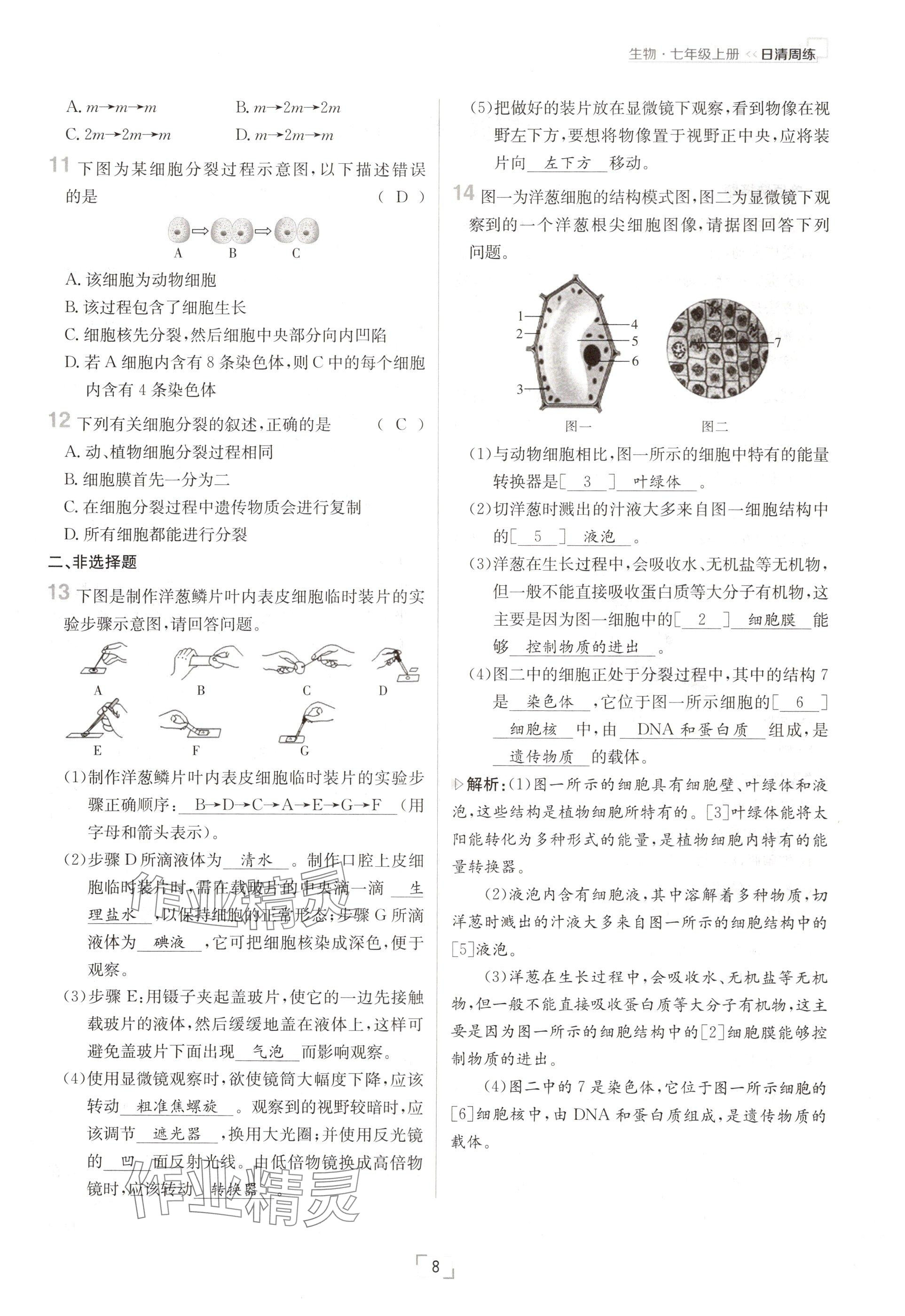 2024年日清周練七年級(jí)生物上冊(cè)人教版 參考答案第8頁(yè)