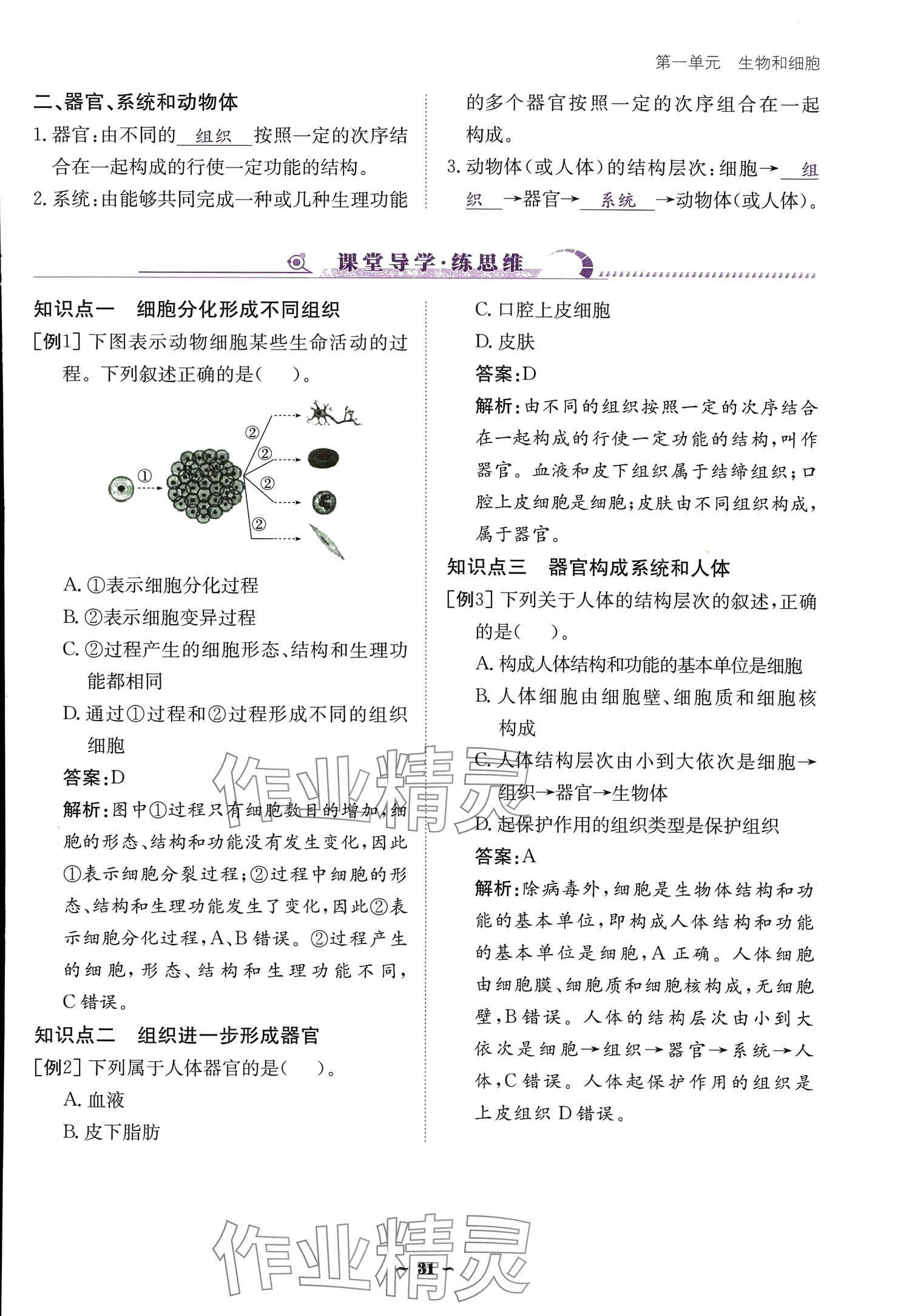 2024云南省標(biāo)準(zhǔn)教輔優(yōu)佳學(xué)案七年級生物上冊 參考答案第31頁