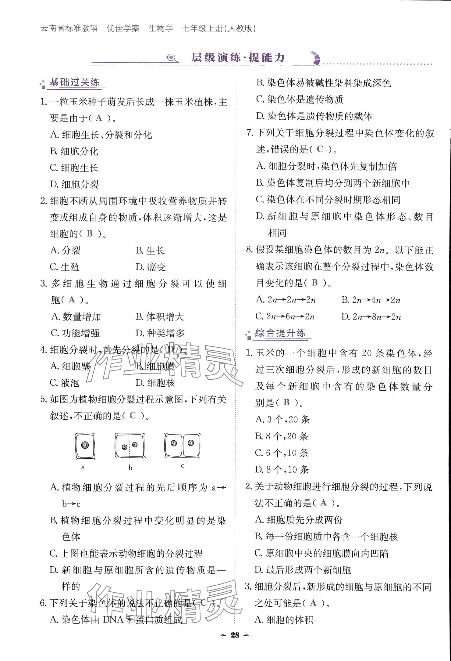 2024云南省標(biāo)準(zhǔn)教輔優(yōu)佳學(xué)案七年級(jí)生物上冊(cè) 參考答案第28頁