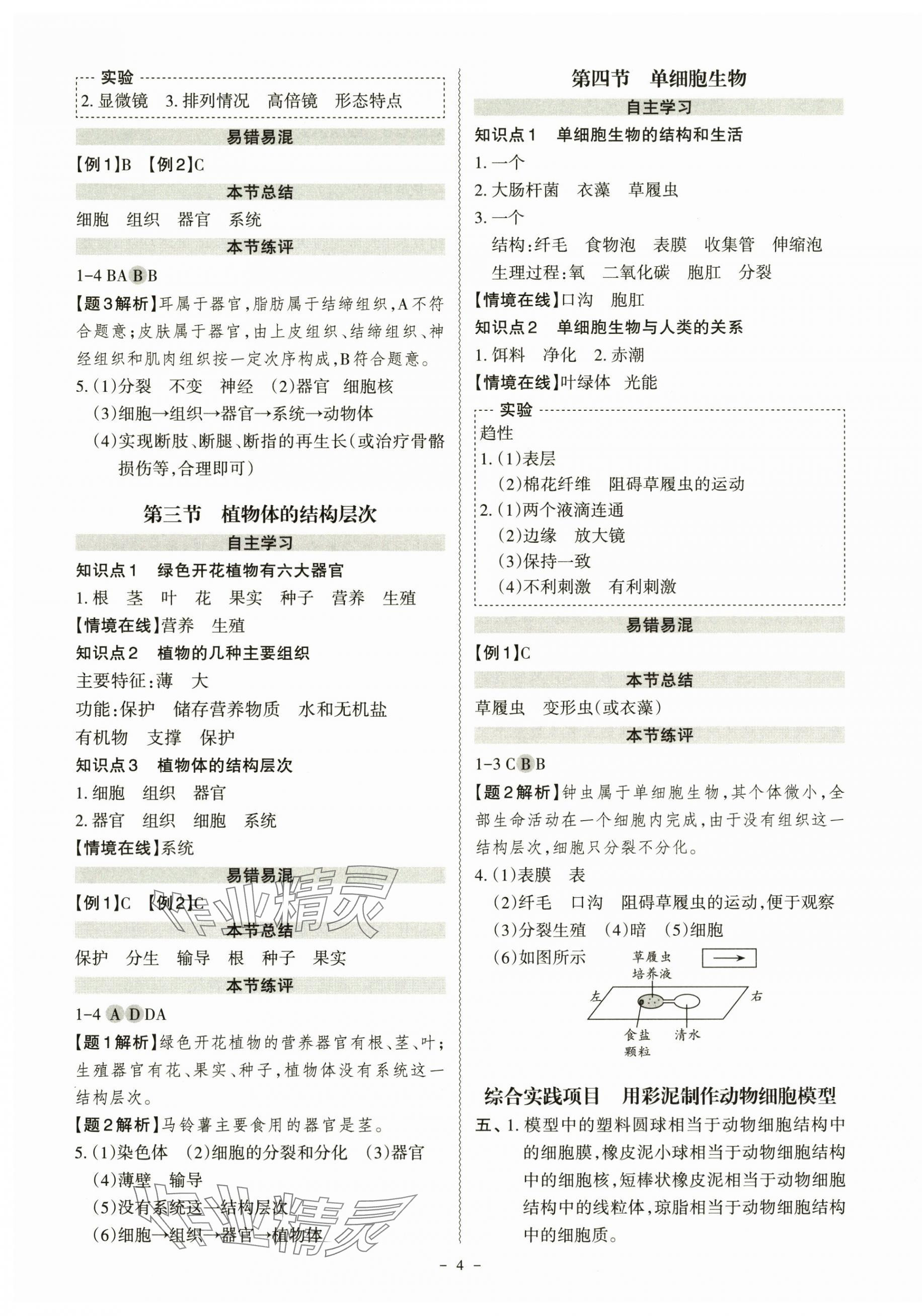 2025年同步冲刺七年级生物上册人教版&nbsp;第4页