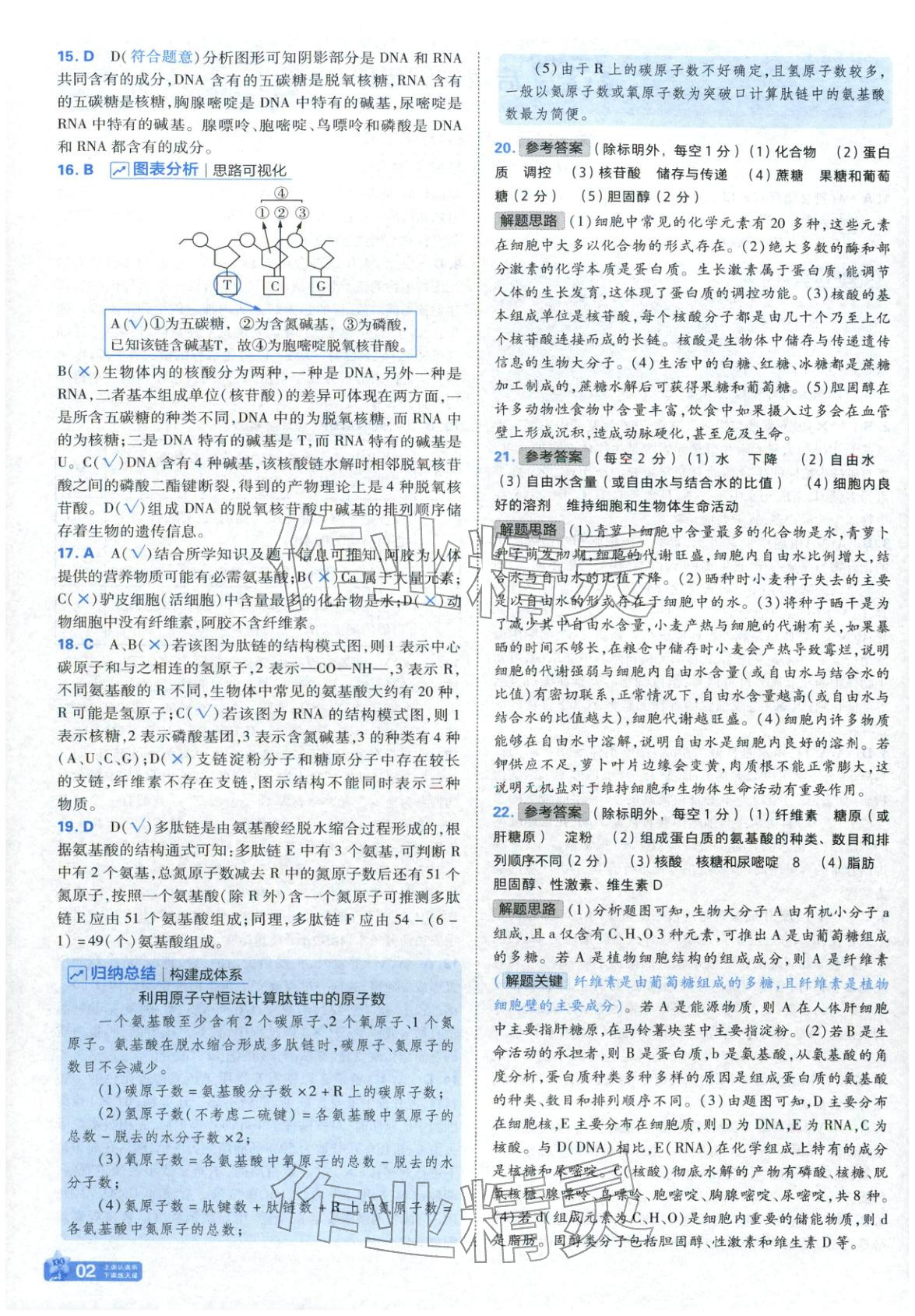 2025年金考卷名师名题单元双测卷高中生物必修第一册苏教版&nbsp;参考答案第2页