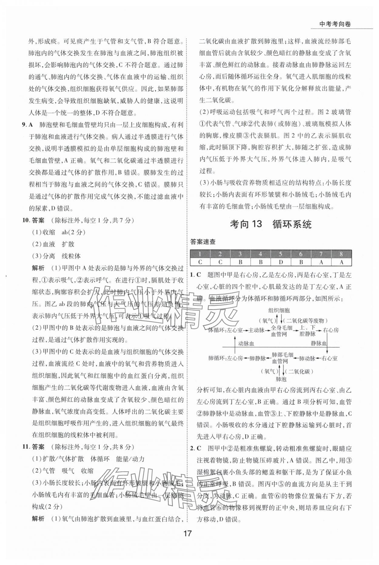 2024年5年中考試卷生物內(nèi)蒙古專版 參考答案第17頁