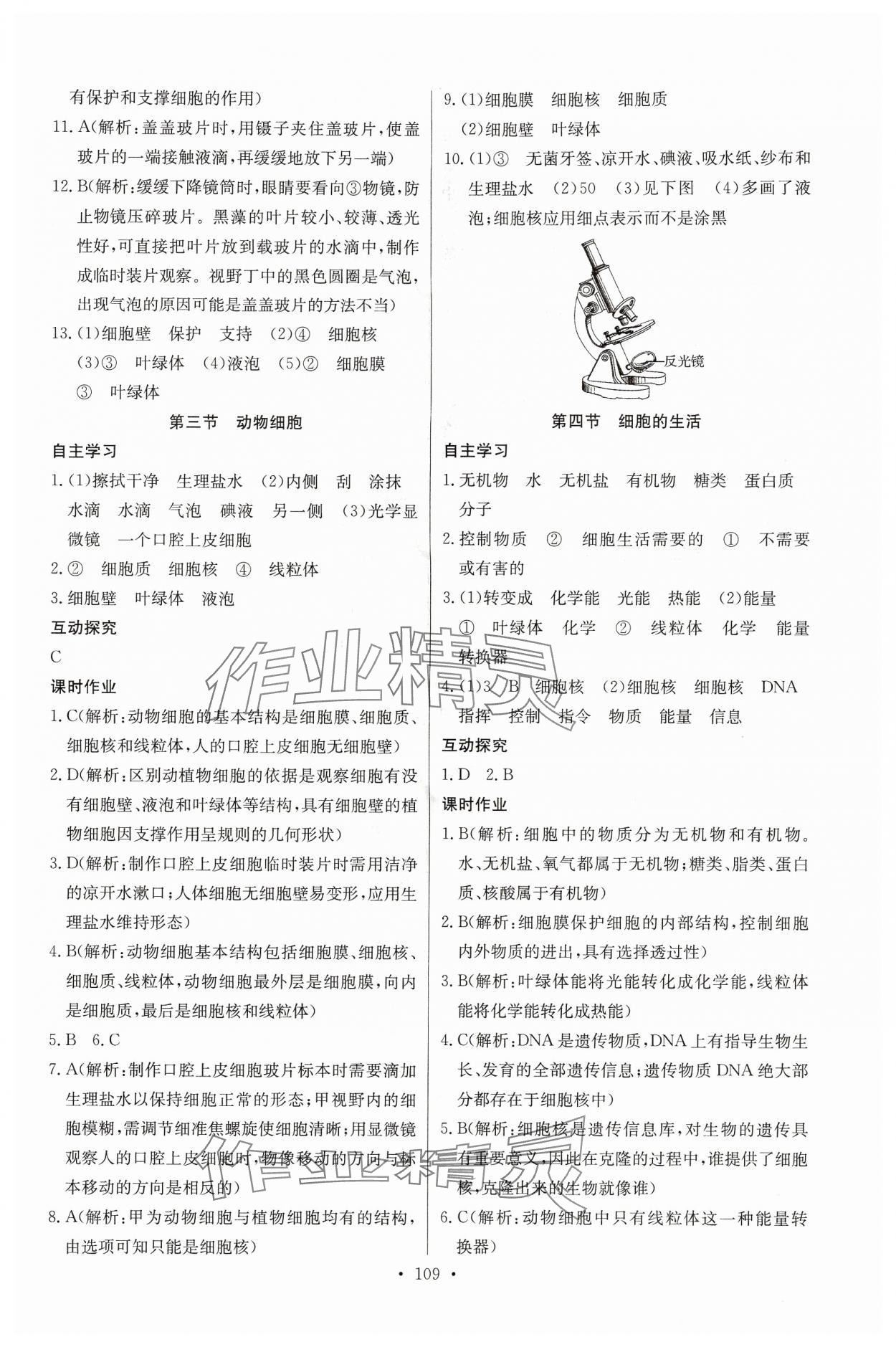 2024年长江全能学案同步练习册七年级生物上册人教版 第3页