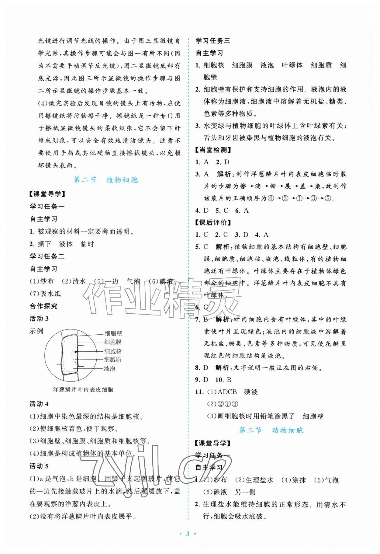 2026年配套综合练习甘肃七年级生物上册人教版&nbsp;第3页