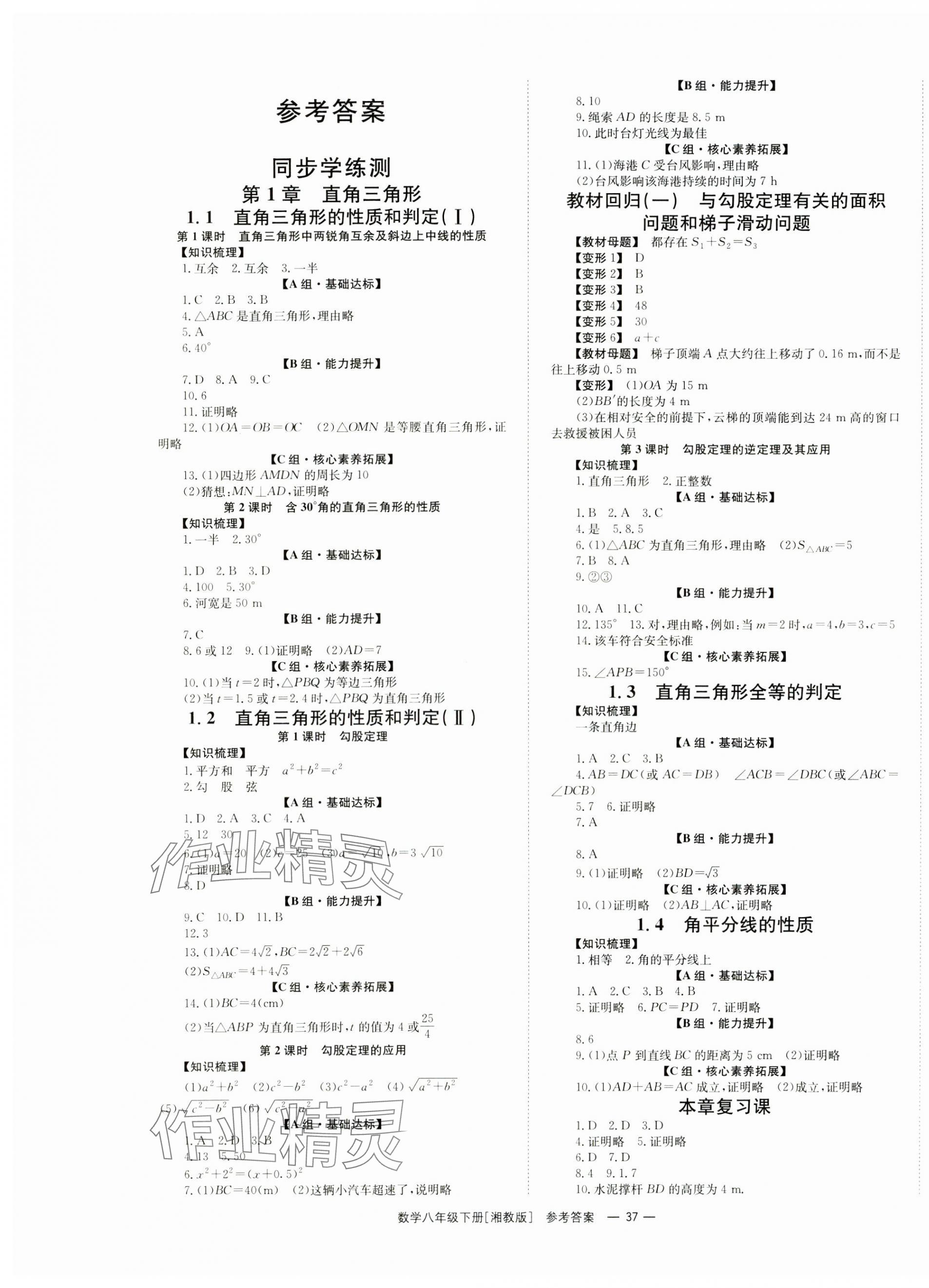 2025年全效學(xué)習(xí)同步學(xué)練測(cè)八年級(jí)數(shù)學(xué)下冊(cè)湘教版 第1頁(yè)