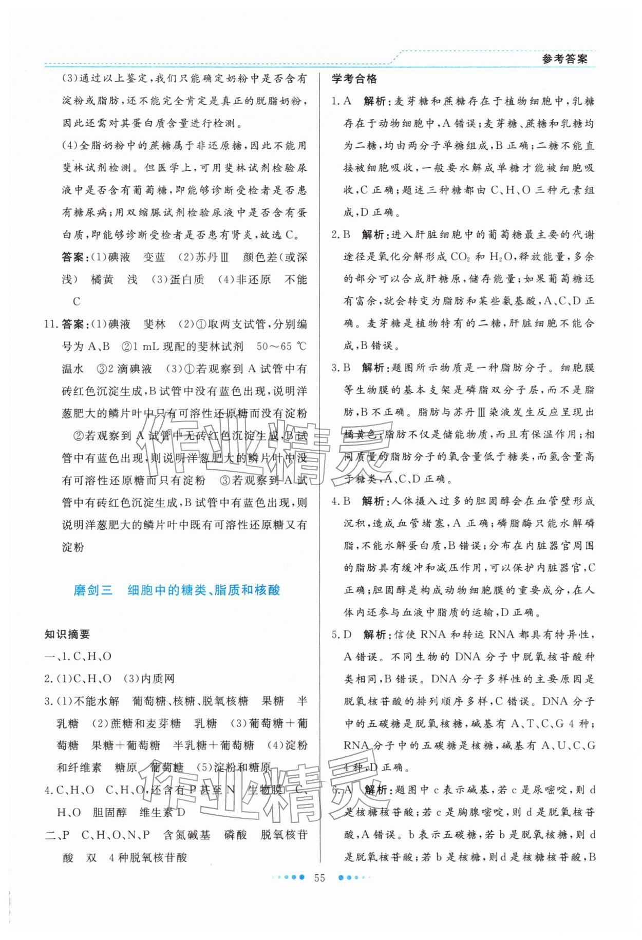 2026年寒假生活北京师范大学出版社高一生物宁夏专版&nbsp;参考答案第4页