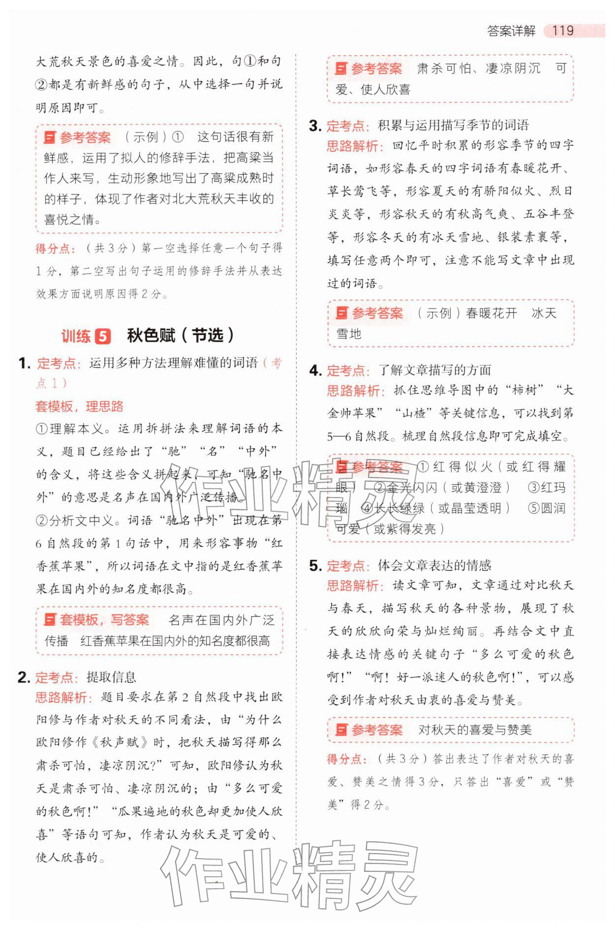 2025年同步阅读答题模板三年级语文上册人教版&nbsp;参考答案第11页