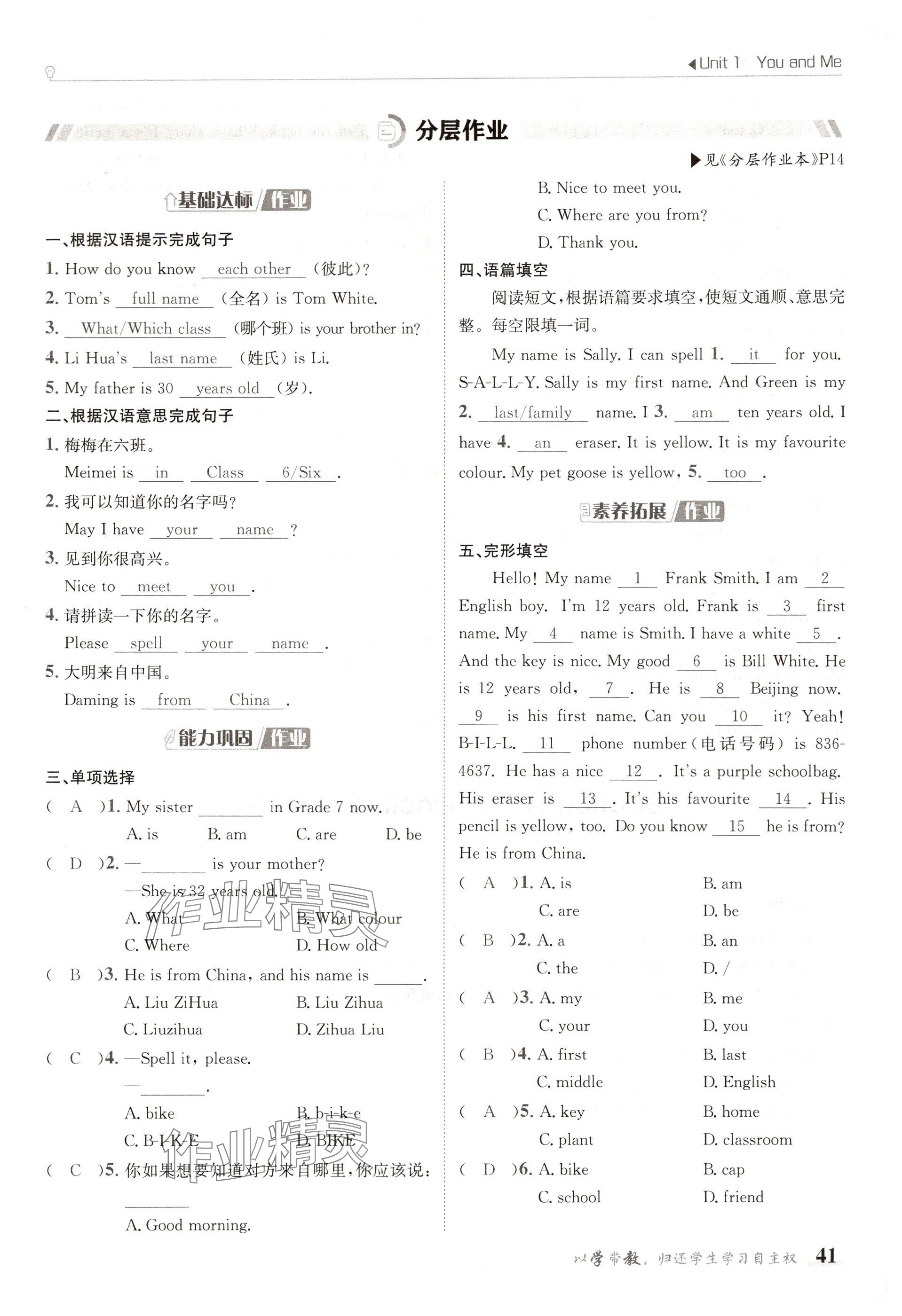 2024年金太陽導(dǎo)學(xué)案七年級(jí)英語上冊(cè)人教版 參考答案第41頁(yè)