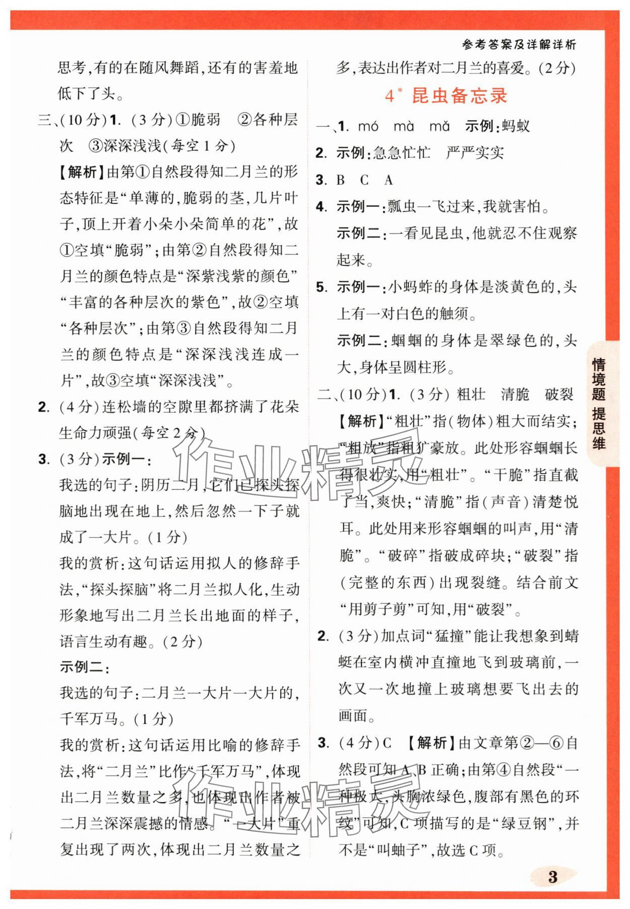 2024年情境題提思維三年級語文下冊人教版 第3頁