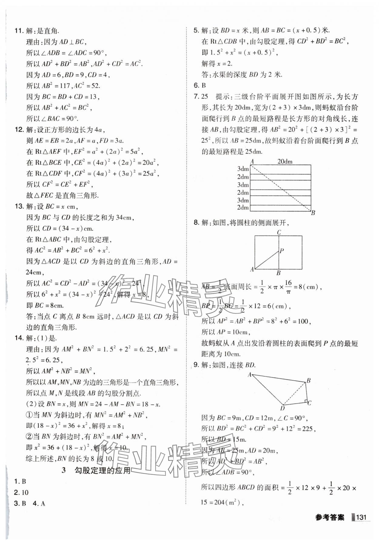 2024年遼寧作業(yè)分層培優(yōu)學(xué)案八年級(jí)數(shù)學(xué)上冊(cè)北師大版 第3頁(yè)