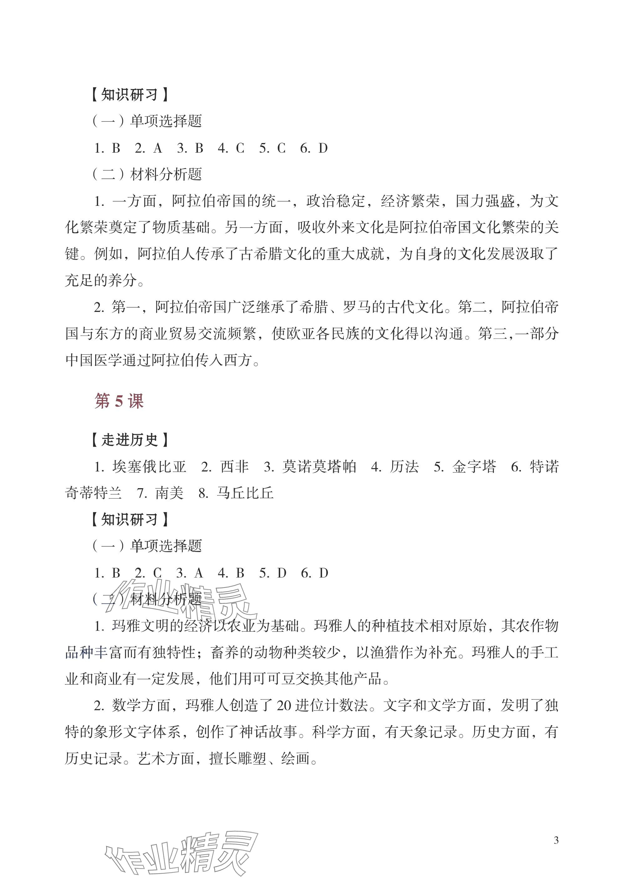 2025年學(xué)習(xí)指導(dǎo)與練習(xí)世界歷史基礎(chǔ)模塊 參考答案第3頁(yè)