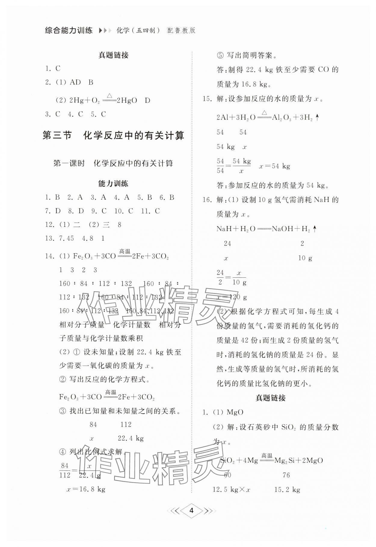 2025年綜合能力訓練八年級化學下冊魯教版54制 參考答案第3頁