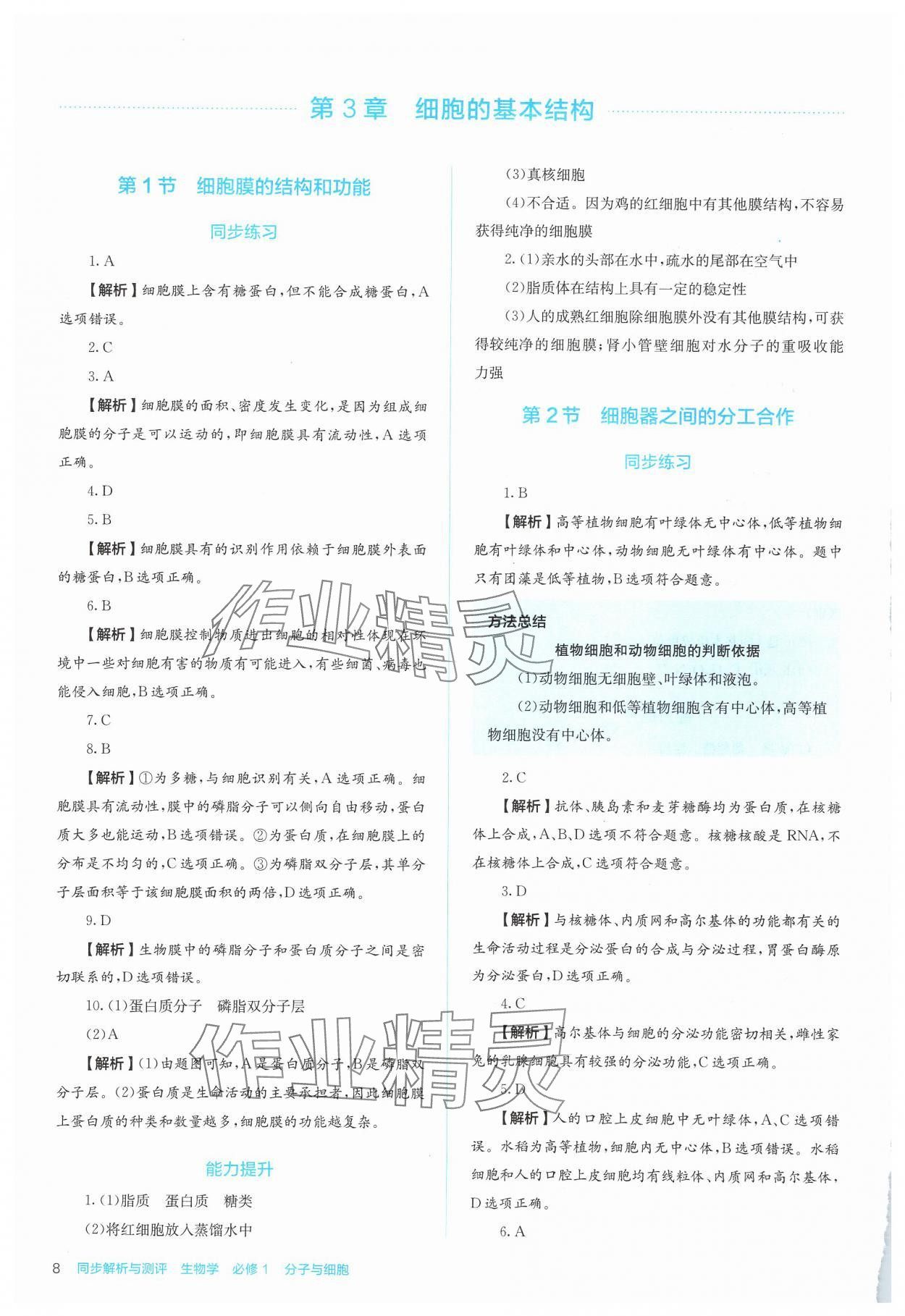 2024年人教金學典同步解析與測評高中生物必修1人教版 第8頁